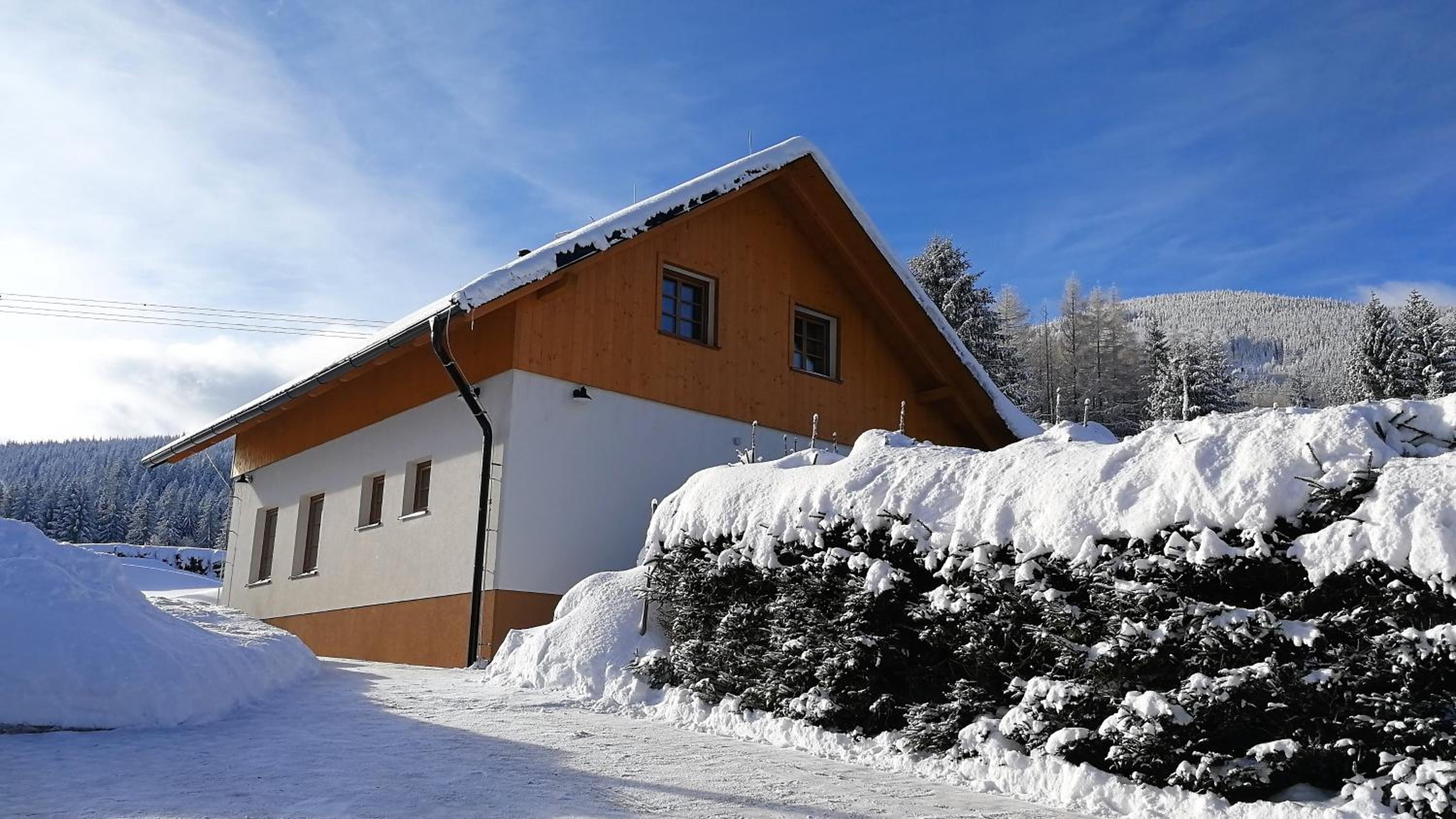 Three-Bedroom Chalet photo 3