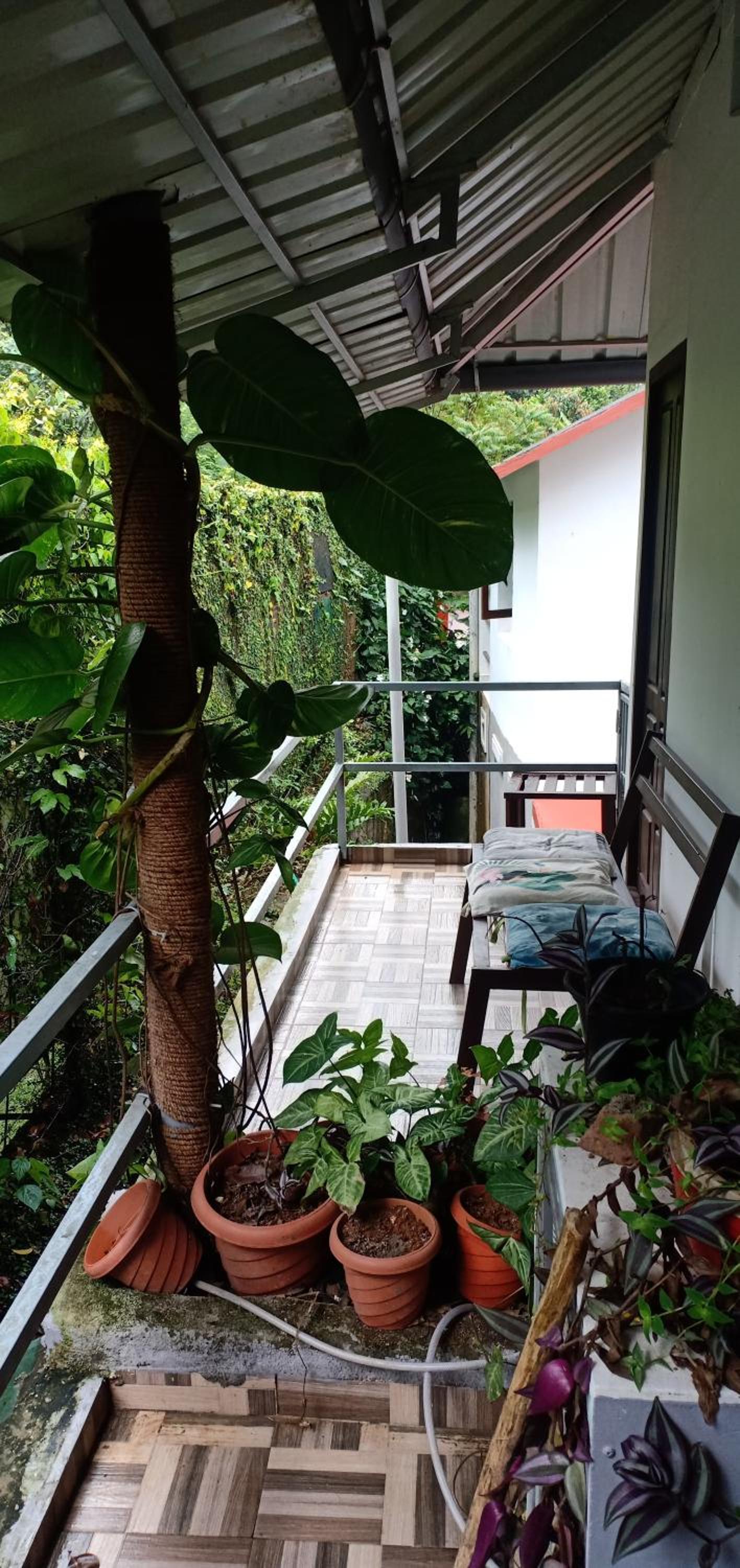 Deluxe Double Room with Balcony - Photo 4