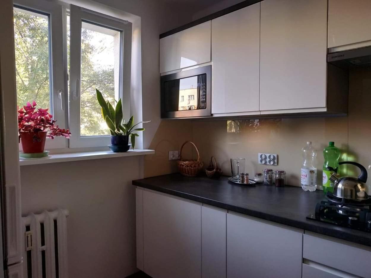 Two-Bedroom Apartment - Photo 3