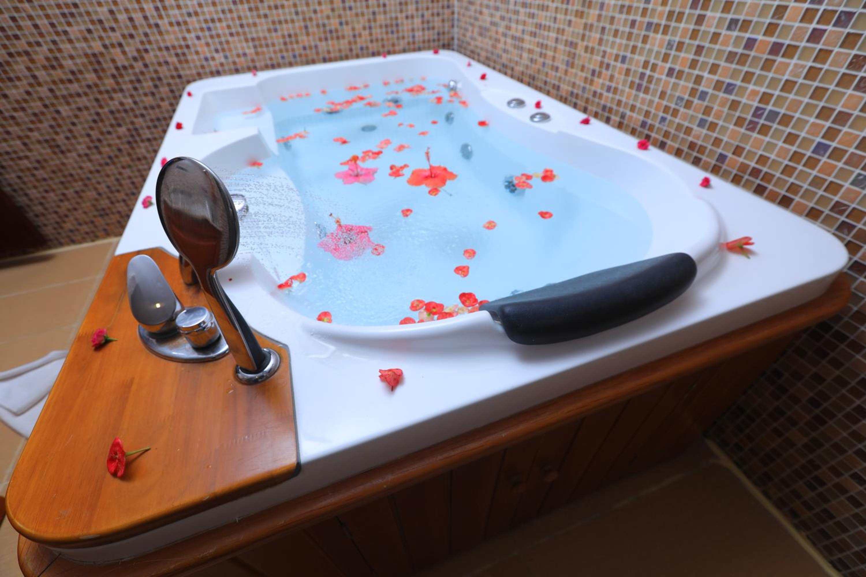 Jacuzi Suite - Photo 7