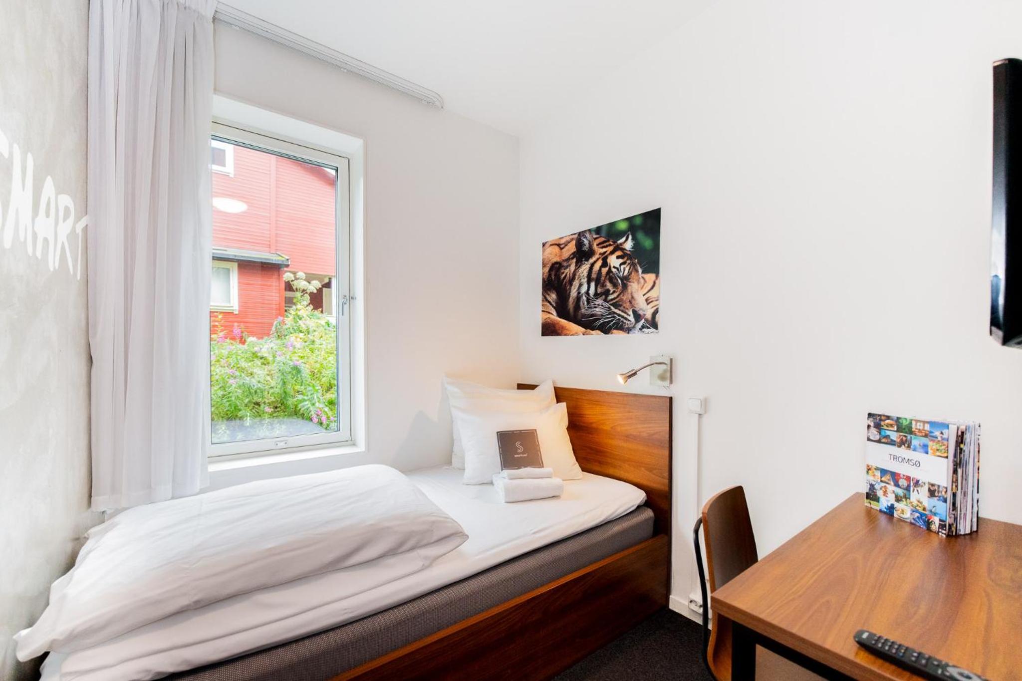 Single Room photo 1