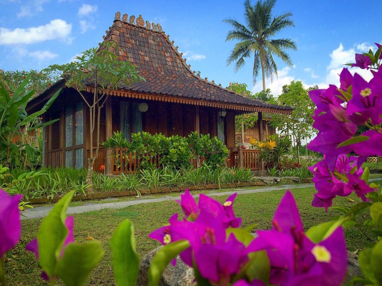 Deluxe Bungalow photo 2