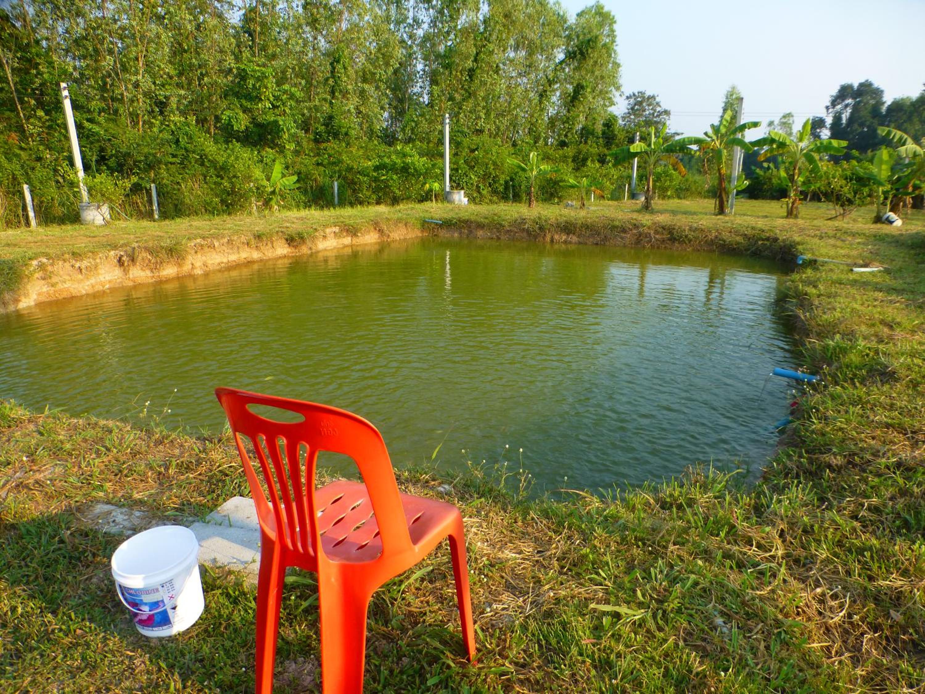 Villa photo 2