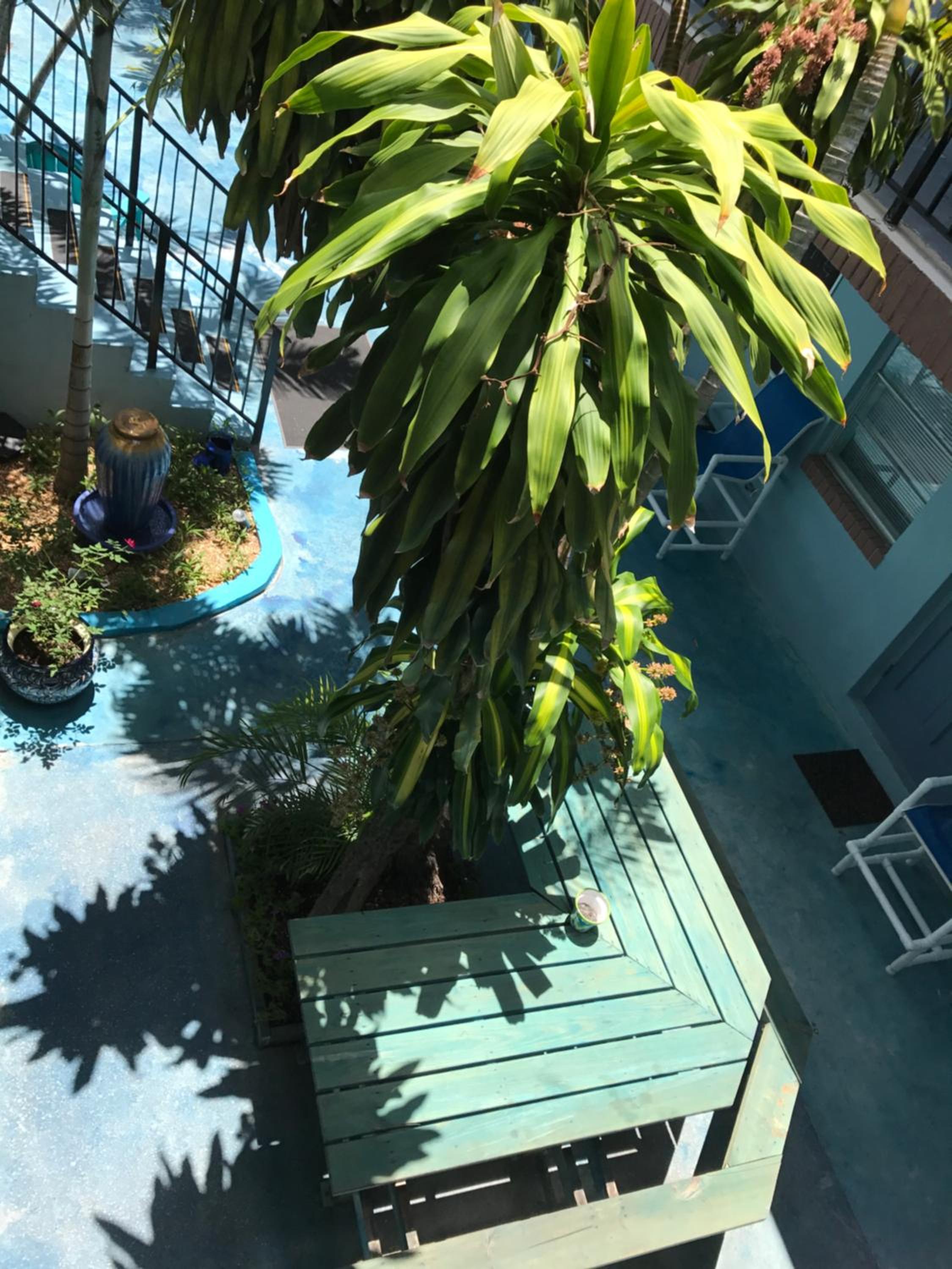 Apartment - Ground Floor photo 1