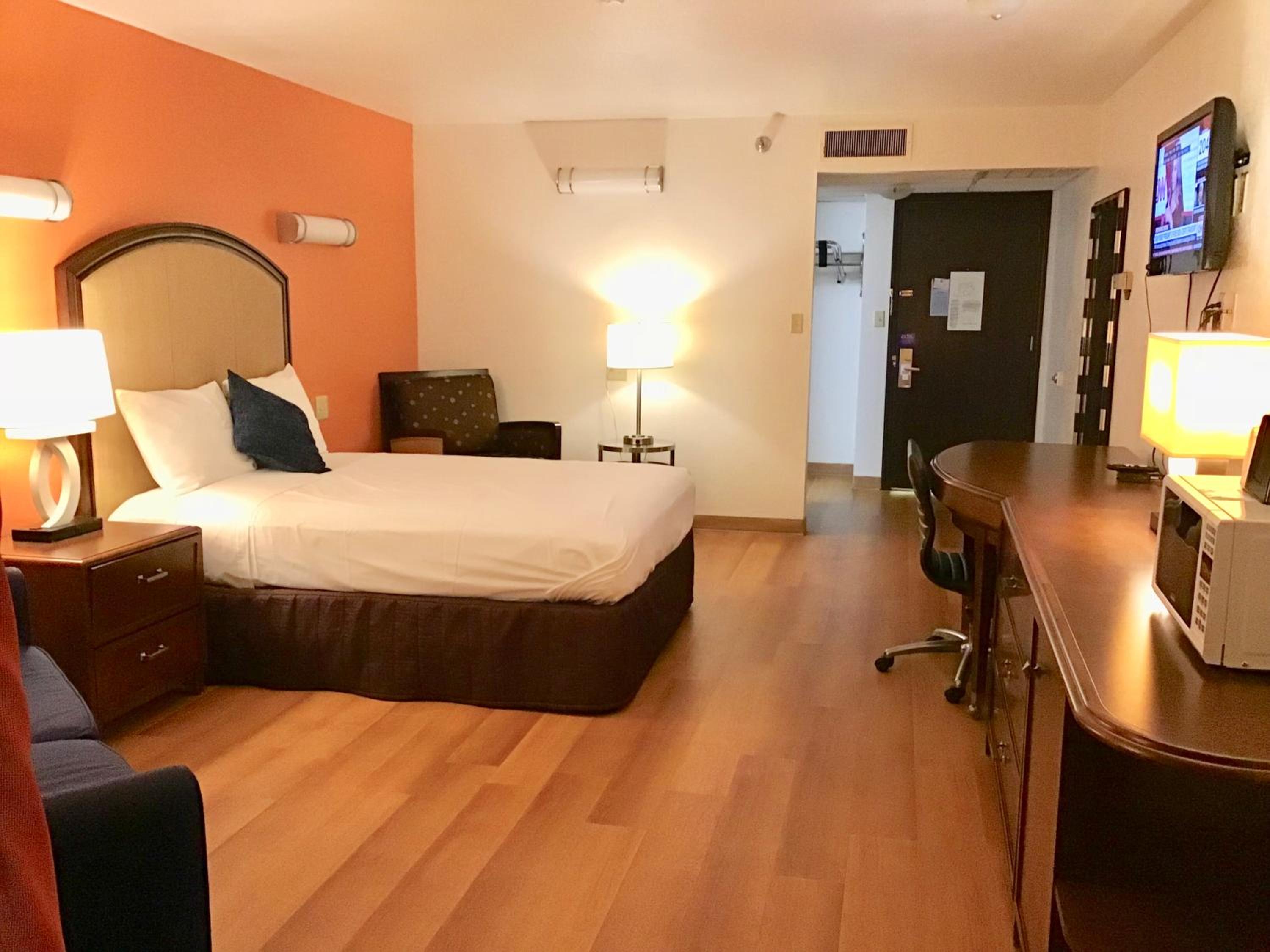 King Room photo 1