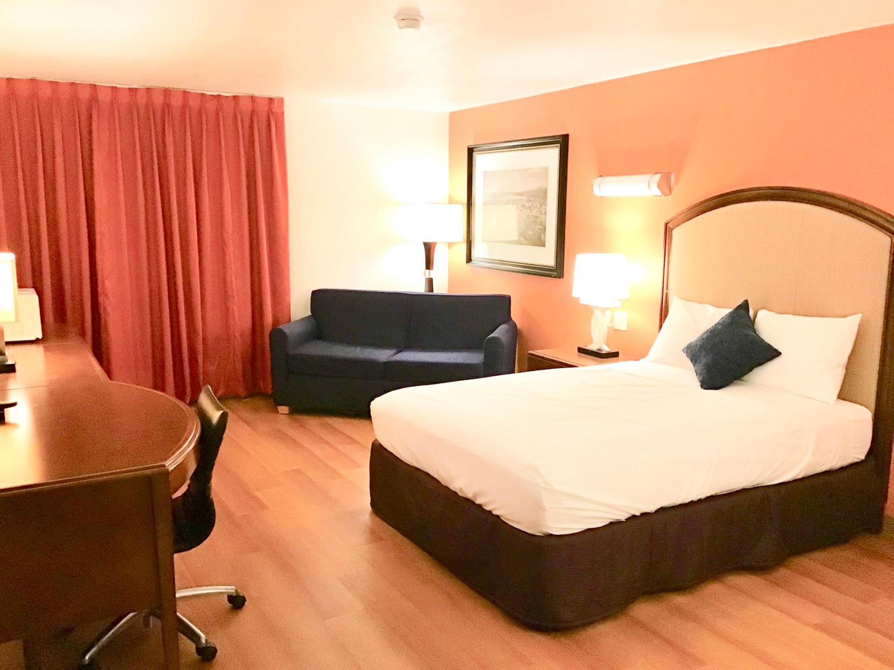 King Room photo 2
