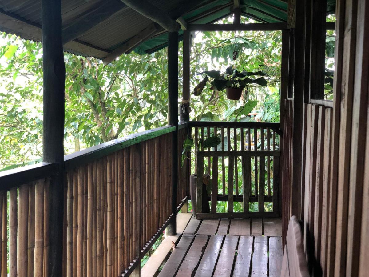 Family Room with Balcony photo 1