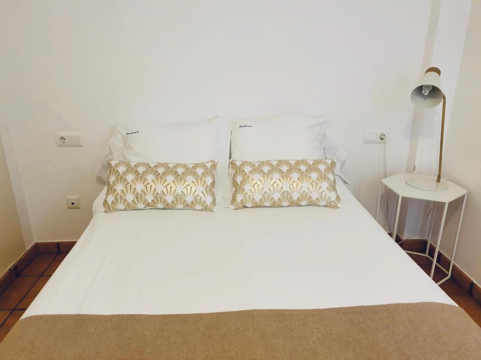 Apartment with Terrace photo 2
