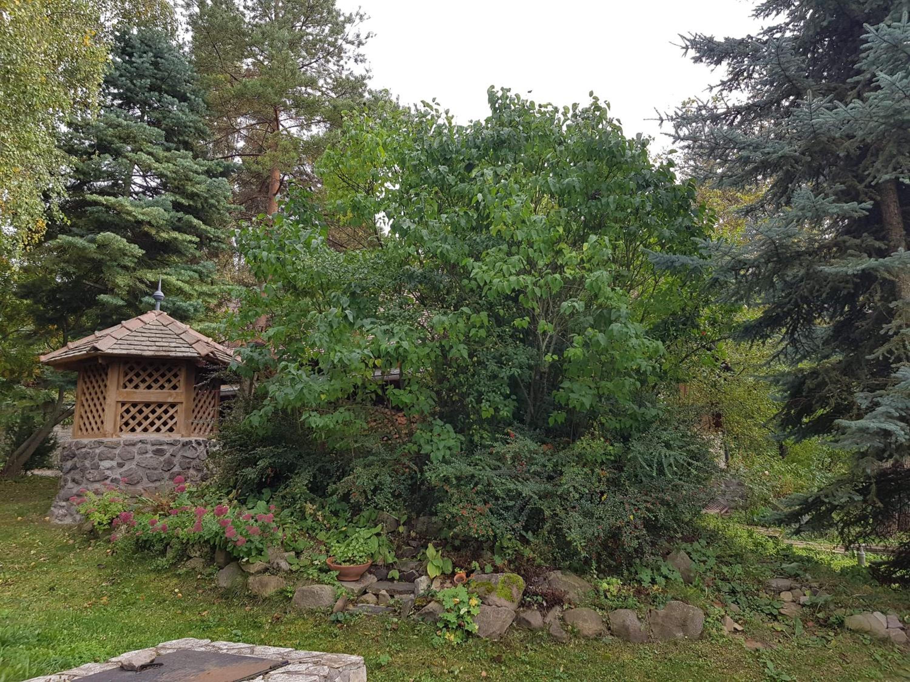 Three-Bedroom House - Photo 19