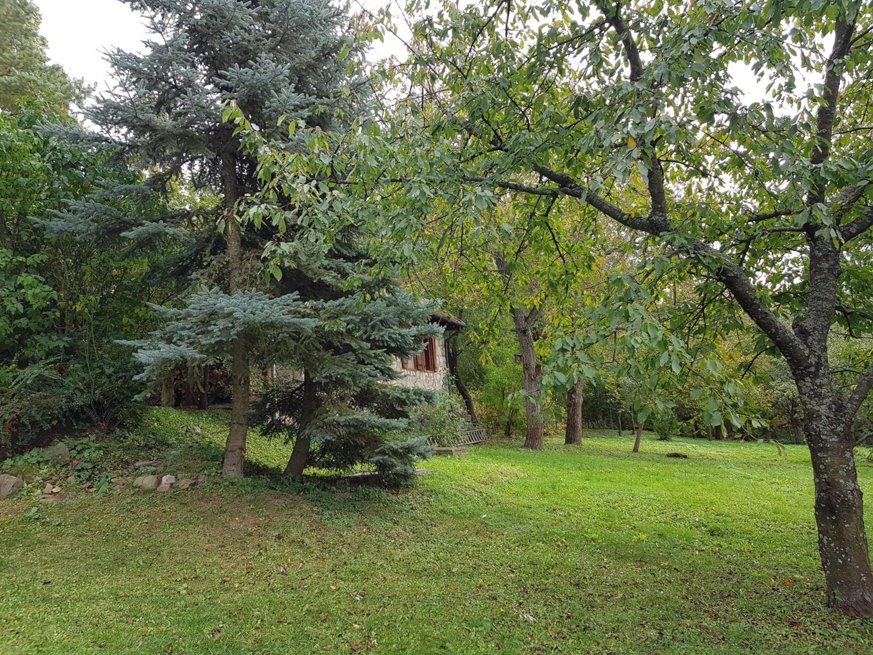 Three-Bedroom House - Photo 17