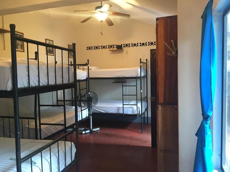 Bed in 8-Bed Mixed Dormitory Room photo 1