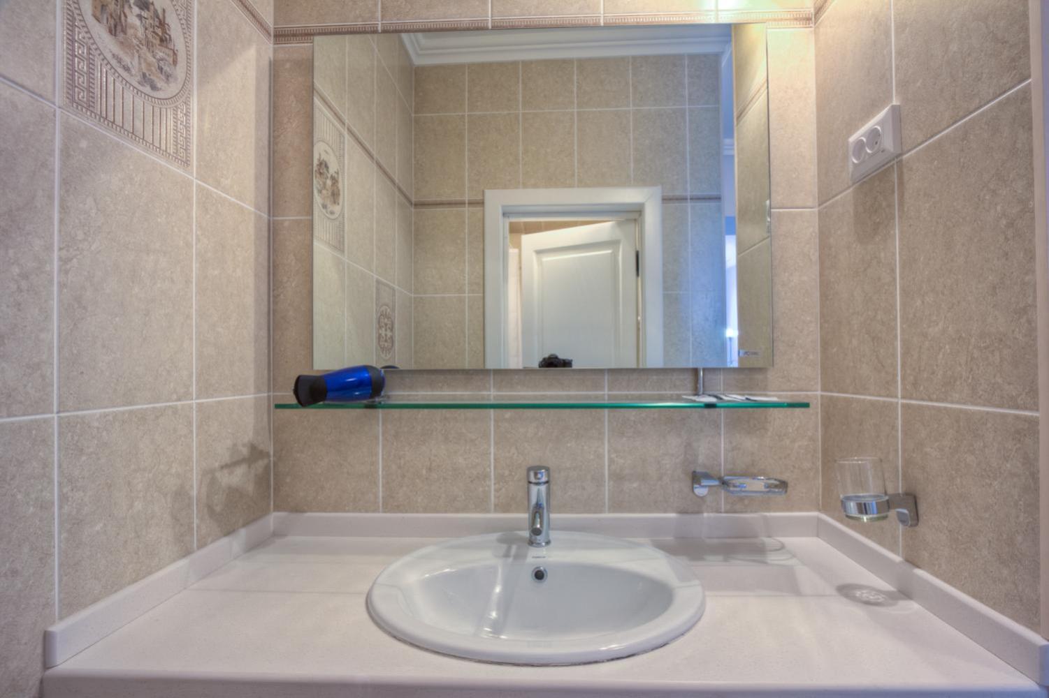 Deluxe Double or Twin Room with Mountain View photo 3