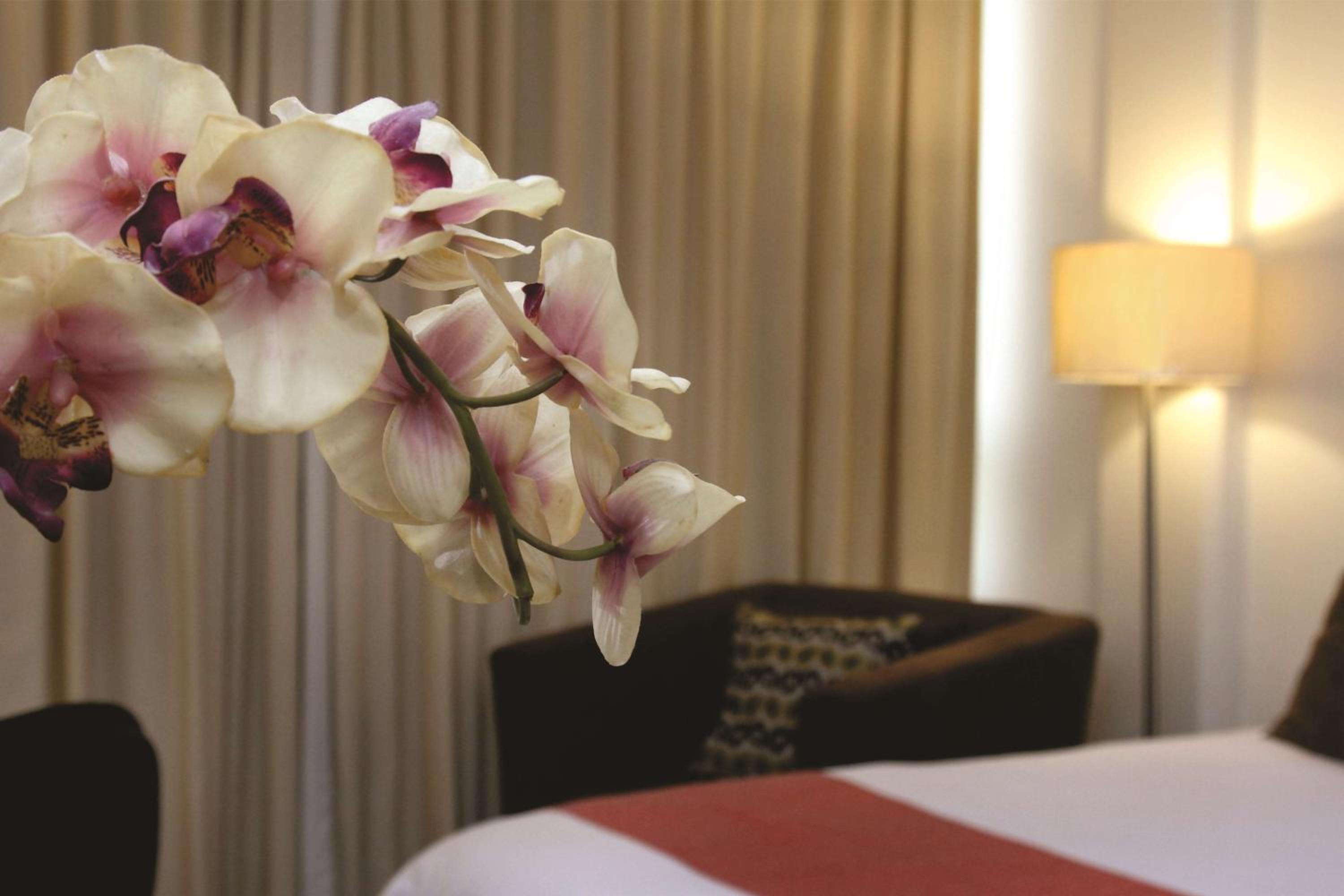 Standard Double Room - Photo 5