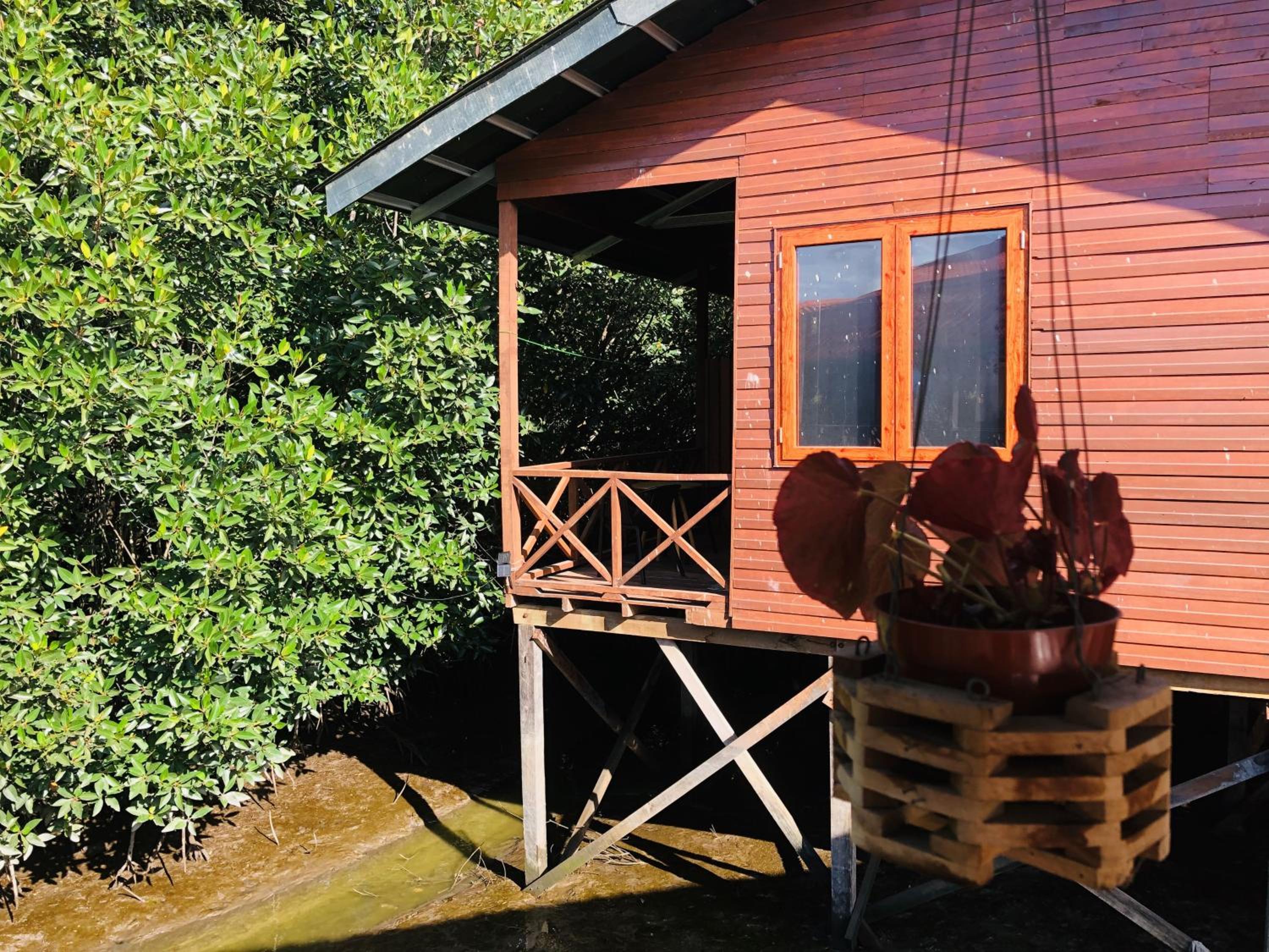 Twin Room with View - Photo 5
