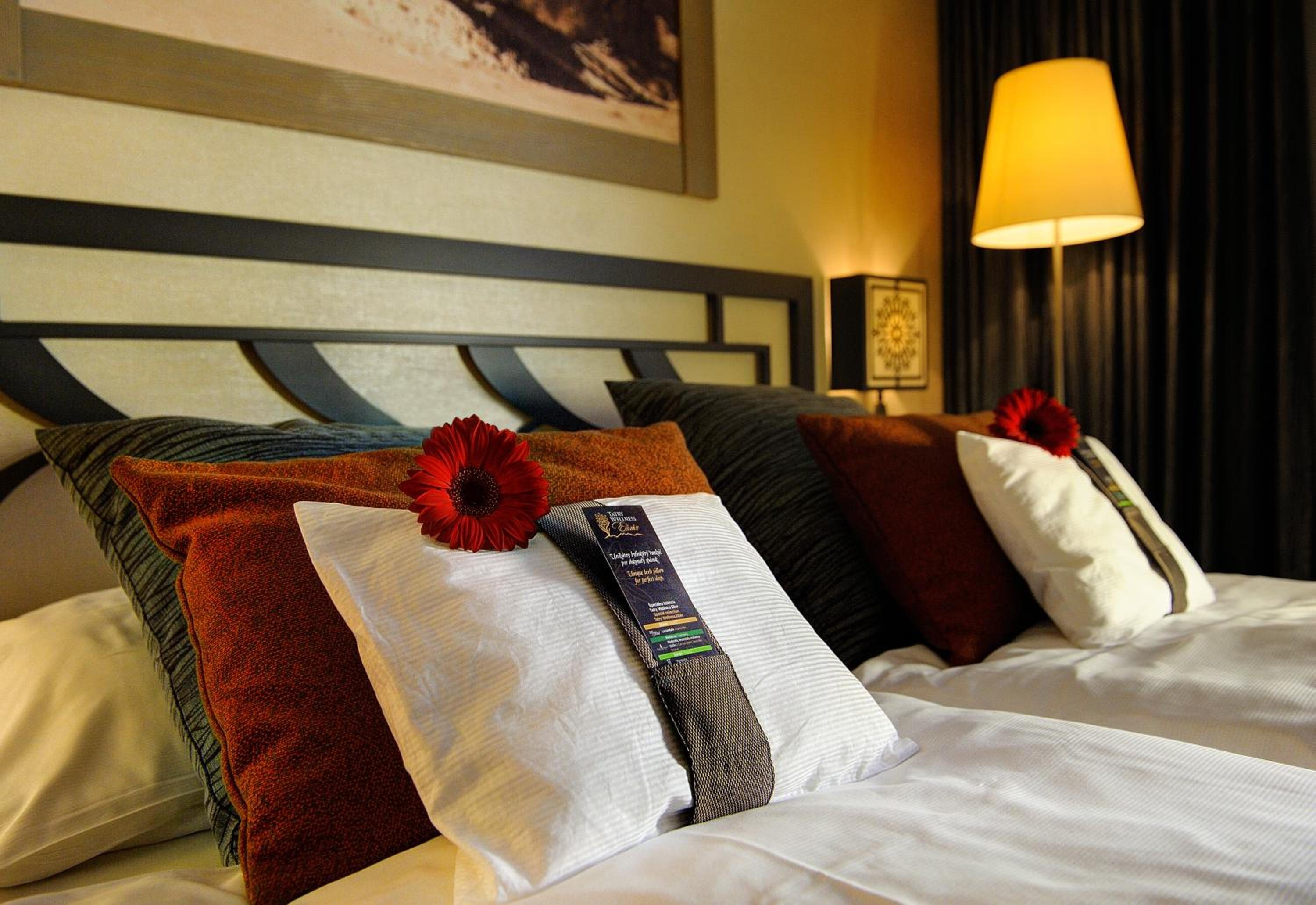 Deluxe Double or Twin Room - Photo 9