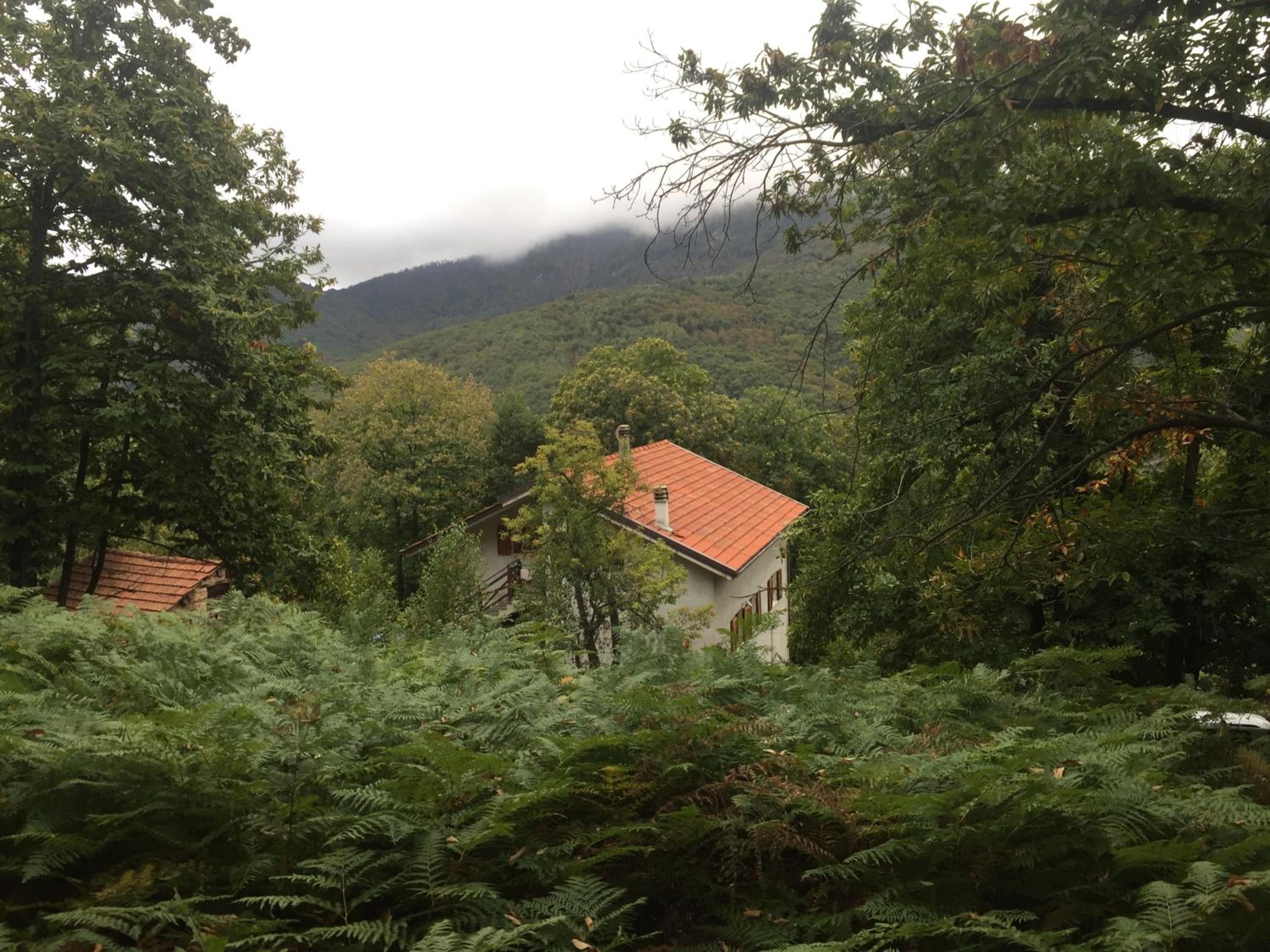 Vacation Home - Photo 55