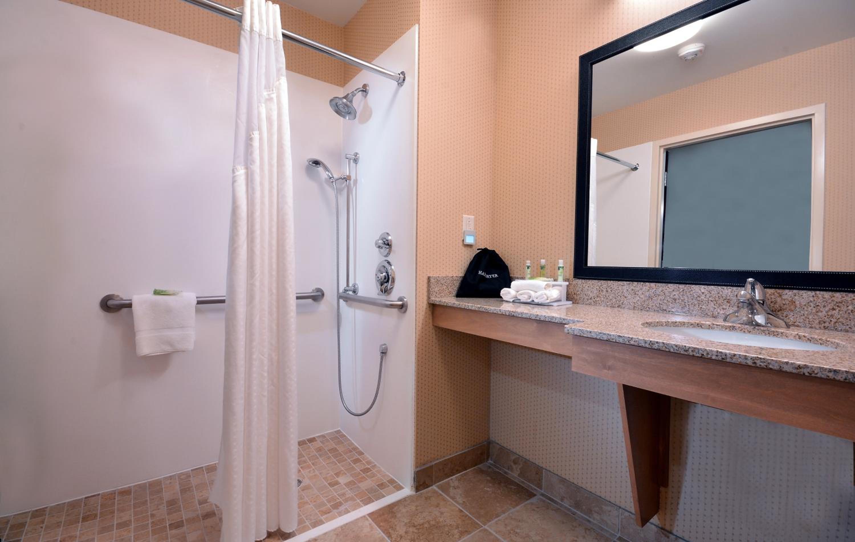 Suite with Mobility Accessible Roll In Shower - Non-Smoking - Photo 5