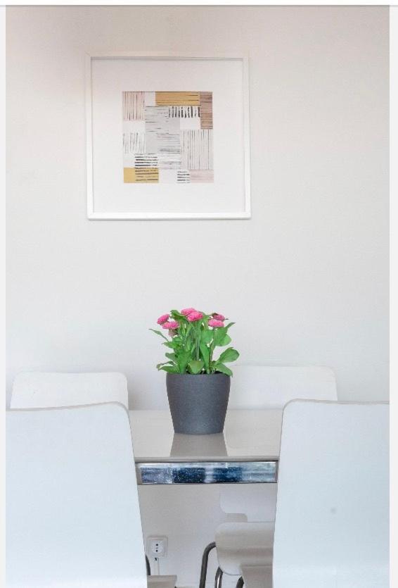 Apartment - Photo 19