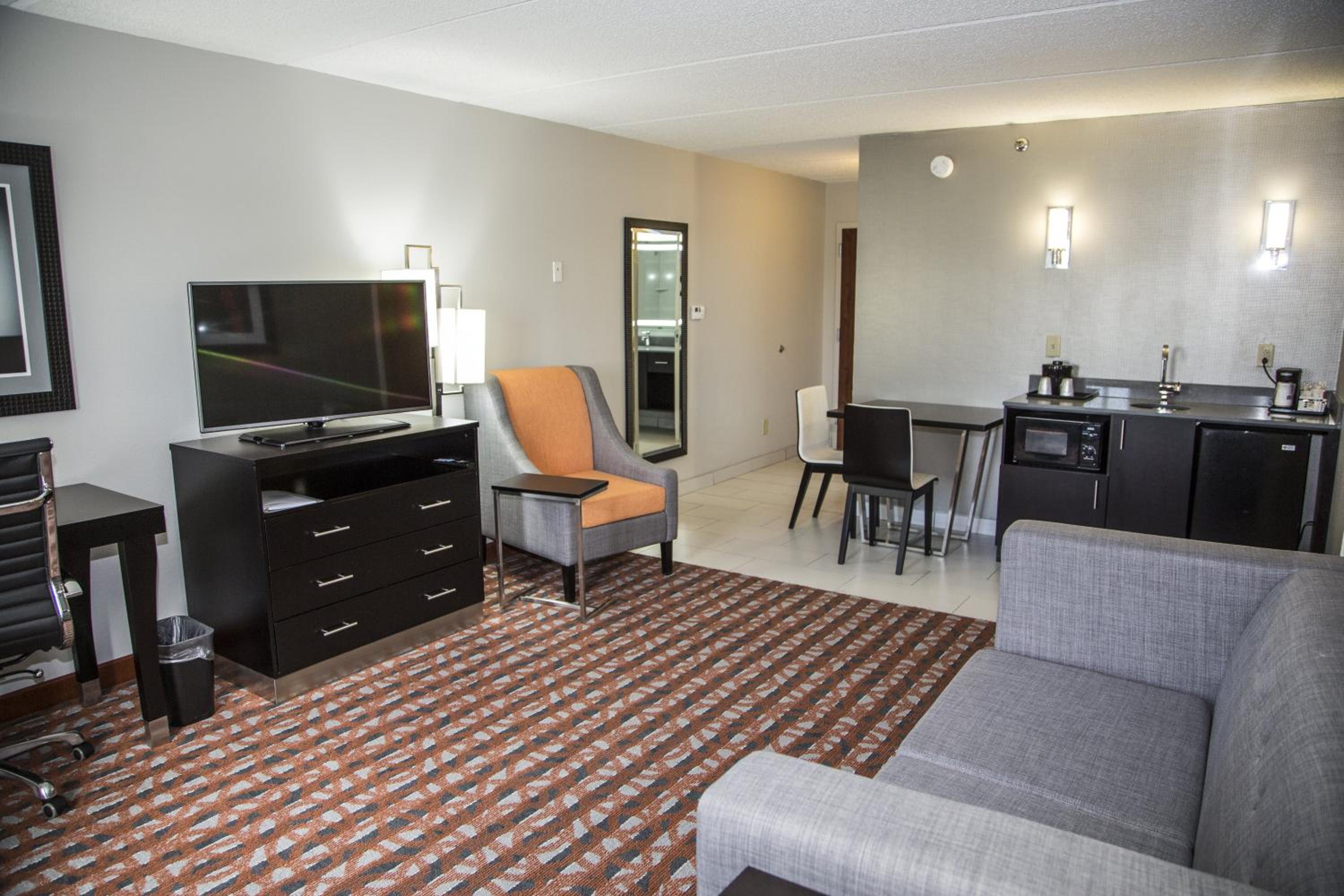 One-Bedroom King Suite - Photo 4