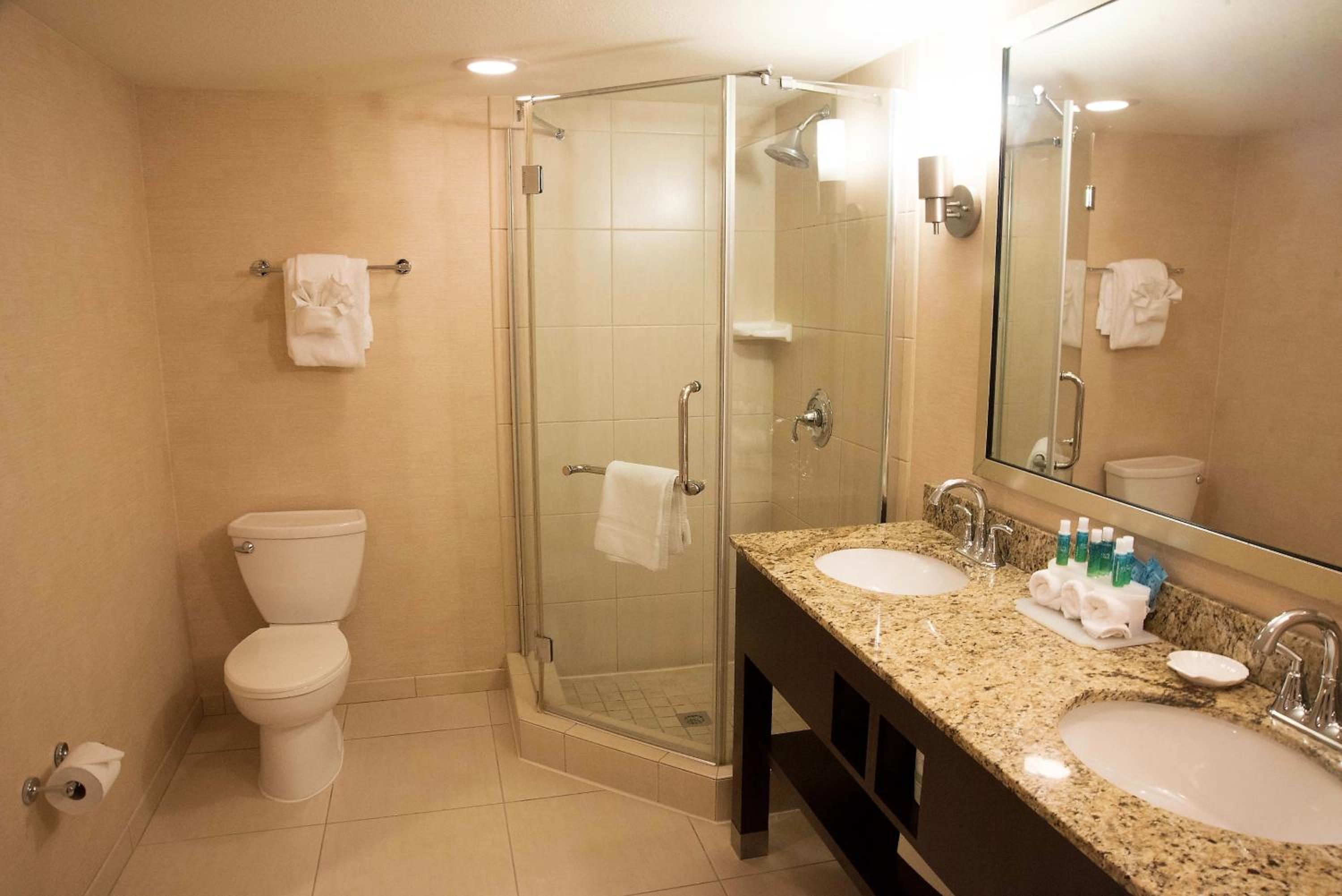 One-Bedroom Suite - Photo 4