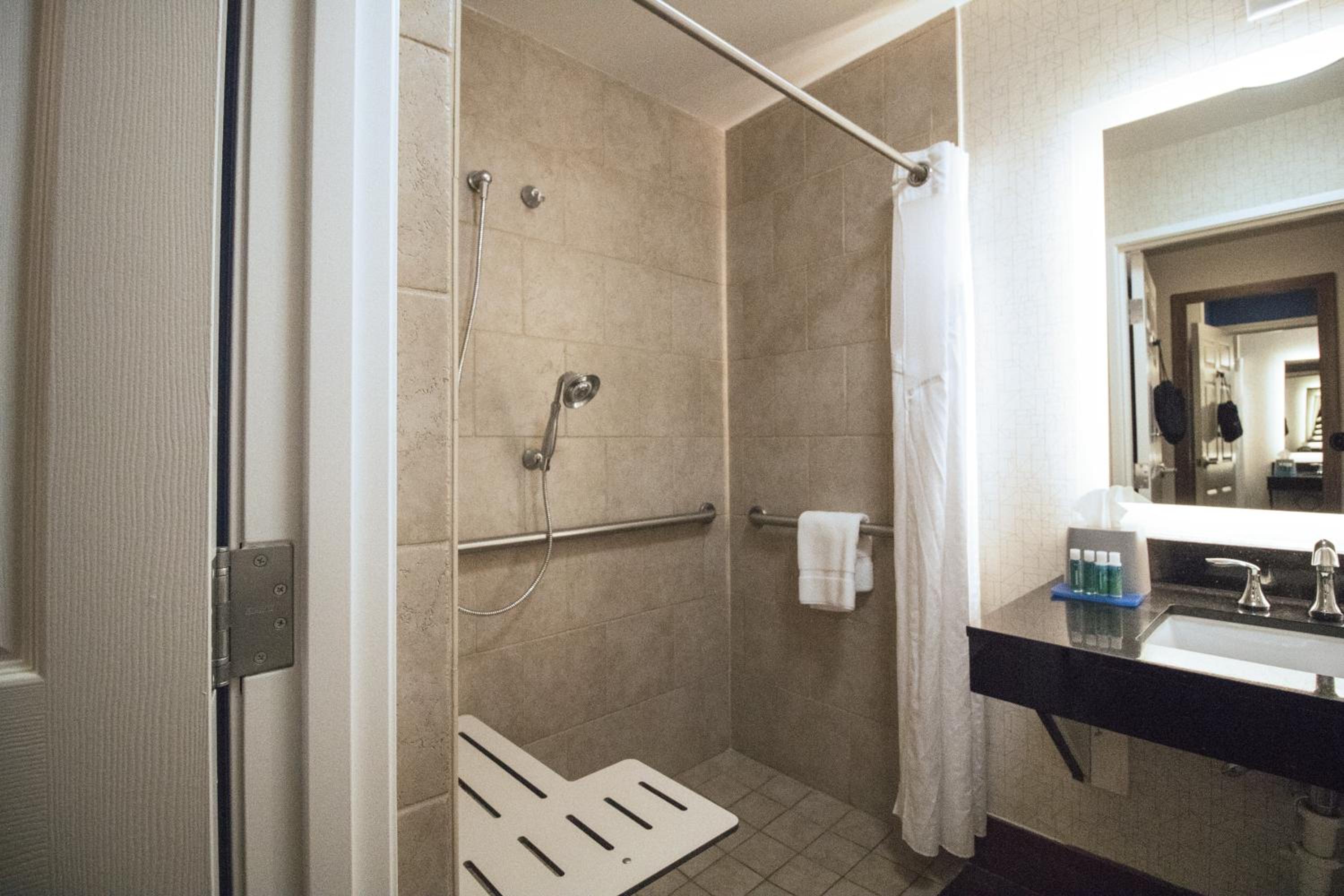 Suite - Disability Access Roll in Shower/Non-Smoking - Photo 2
