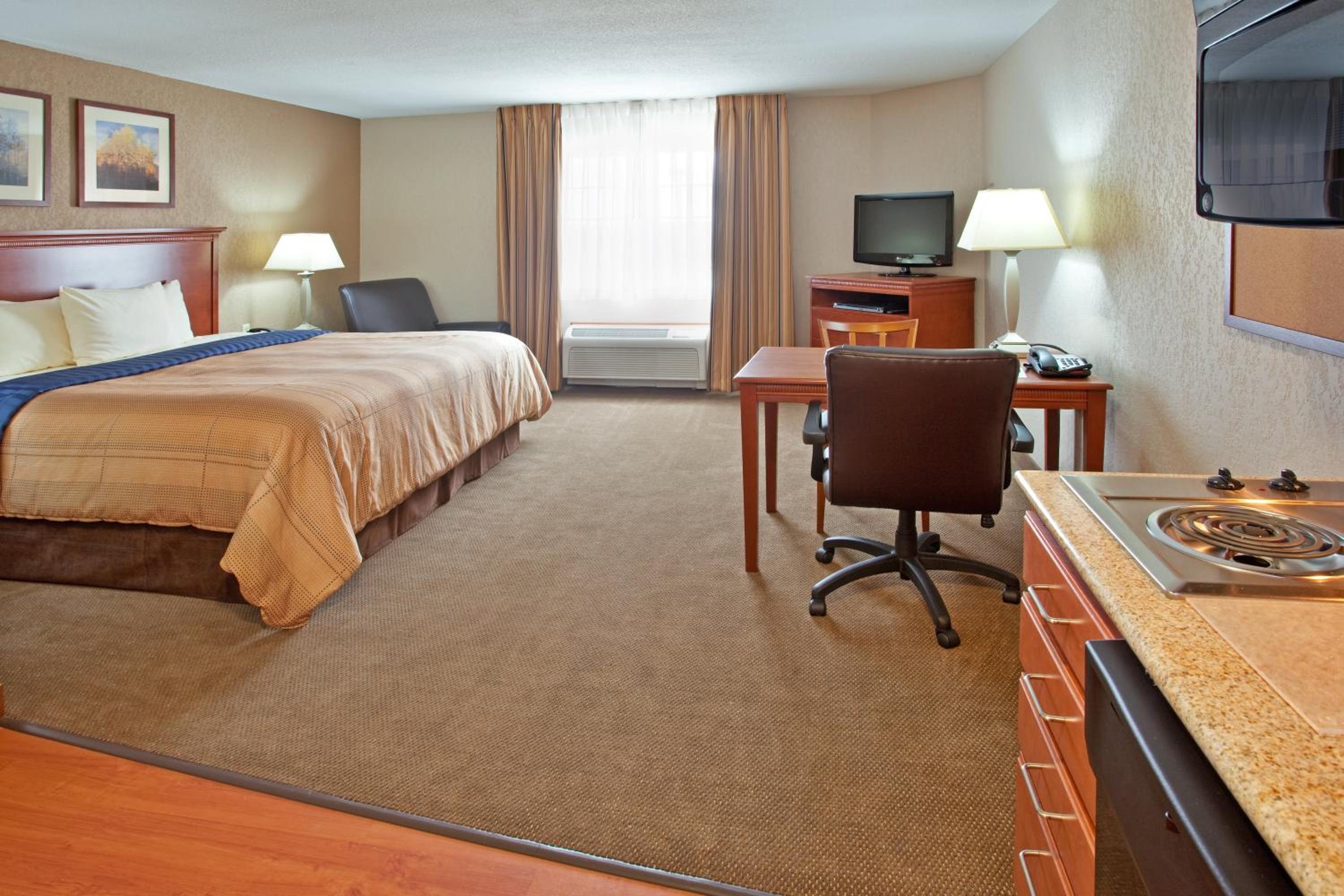 King Studio Suite - Photo 3