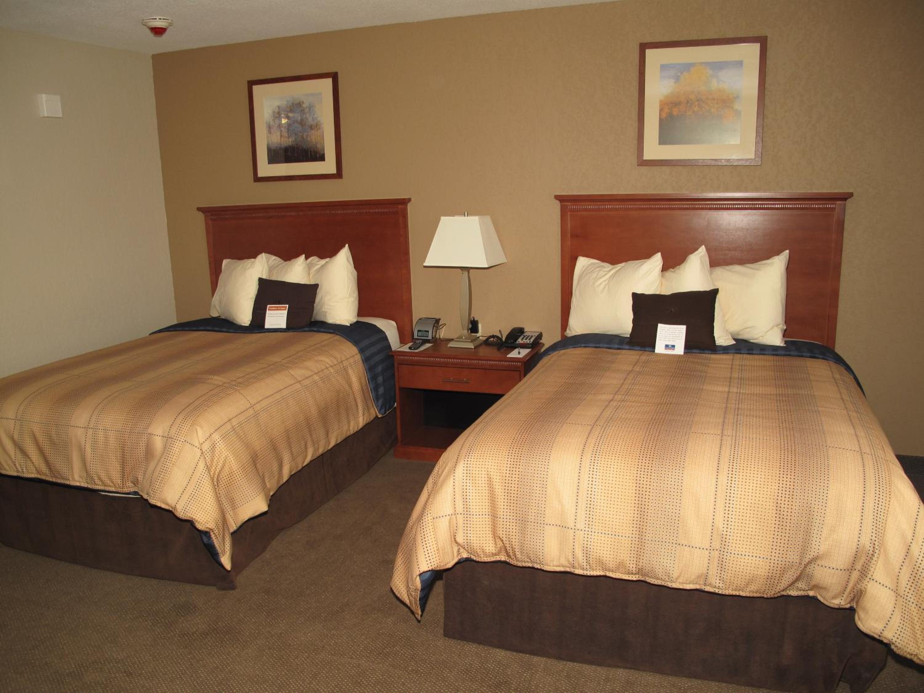 Studio Suite with Two Double Beds - Photo 3