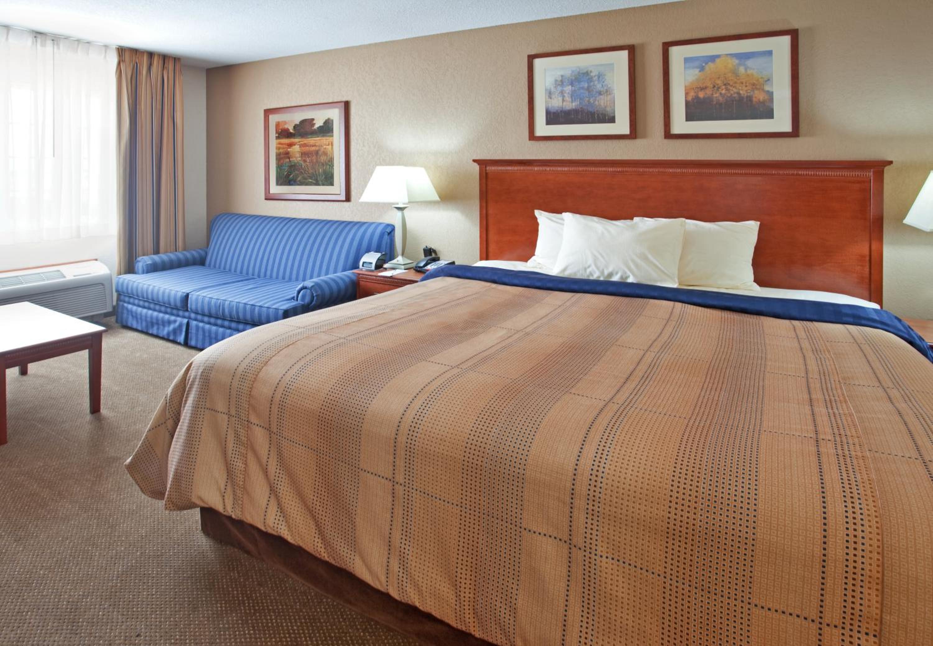King Studio Suite with Sofa Bed - Photo 2