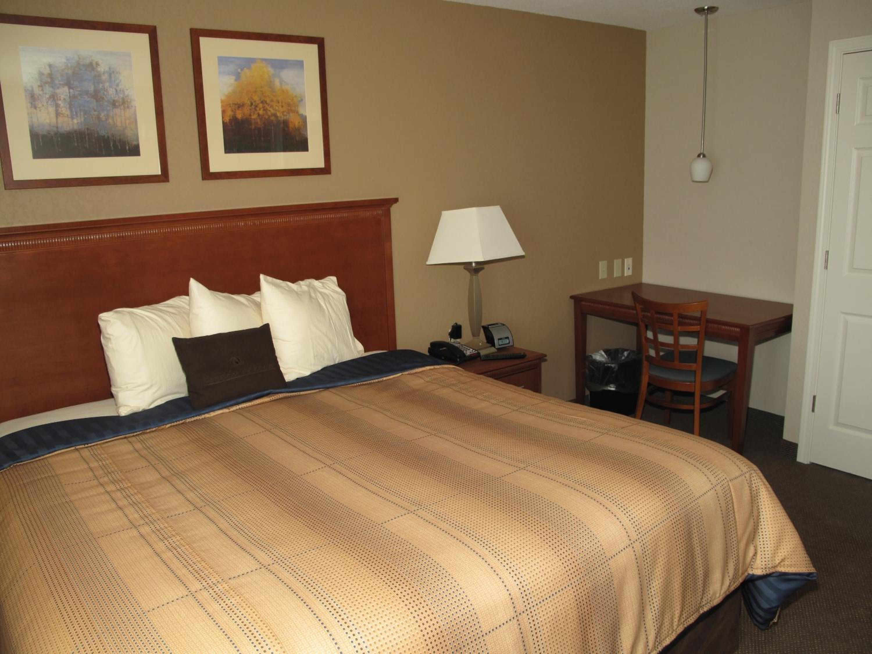 King Studio Suite - Photo 2