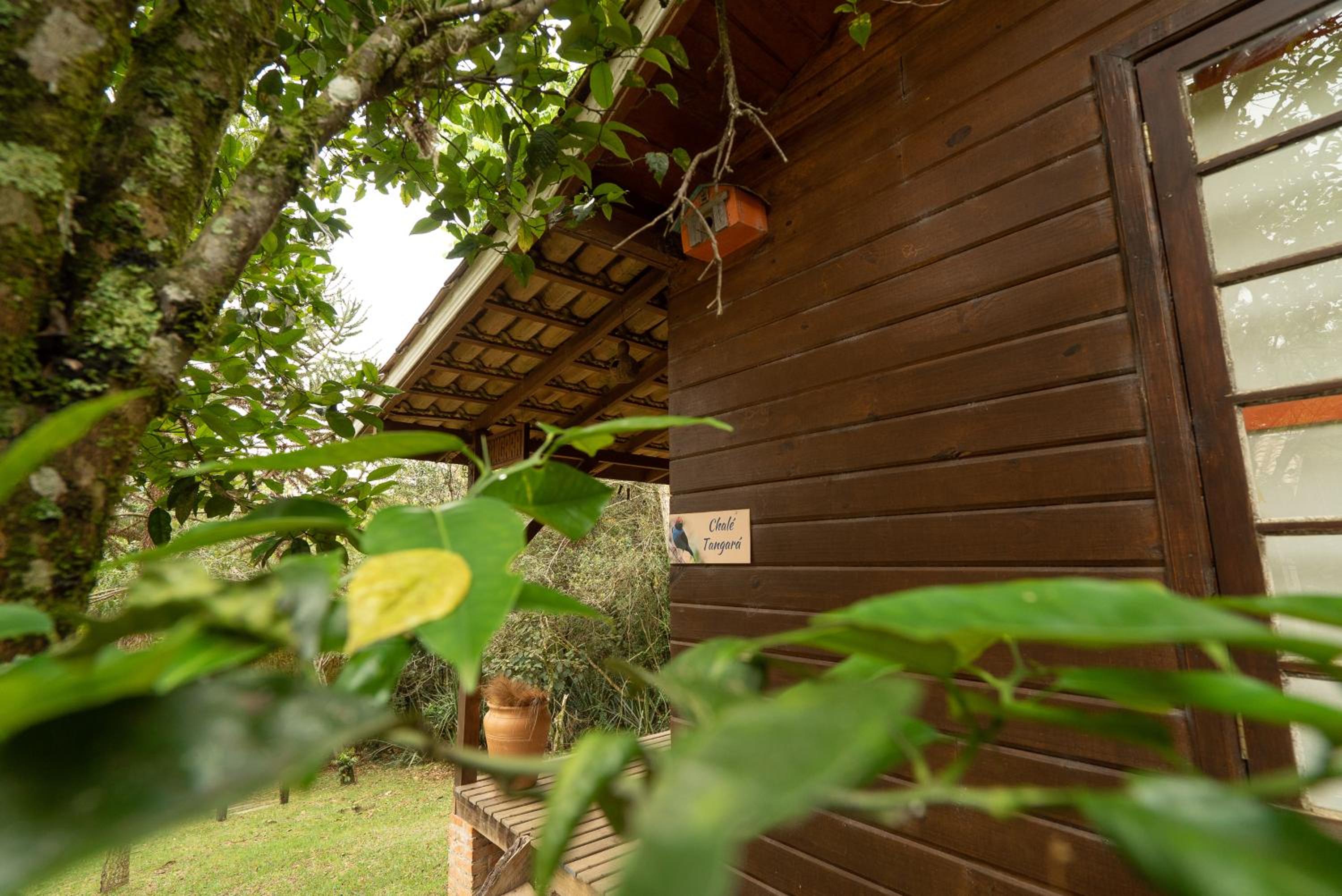 One-Bedroom Chalet photo 2