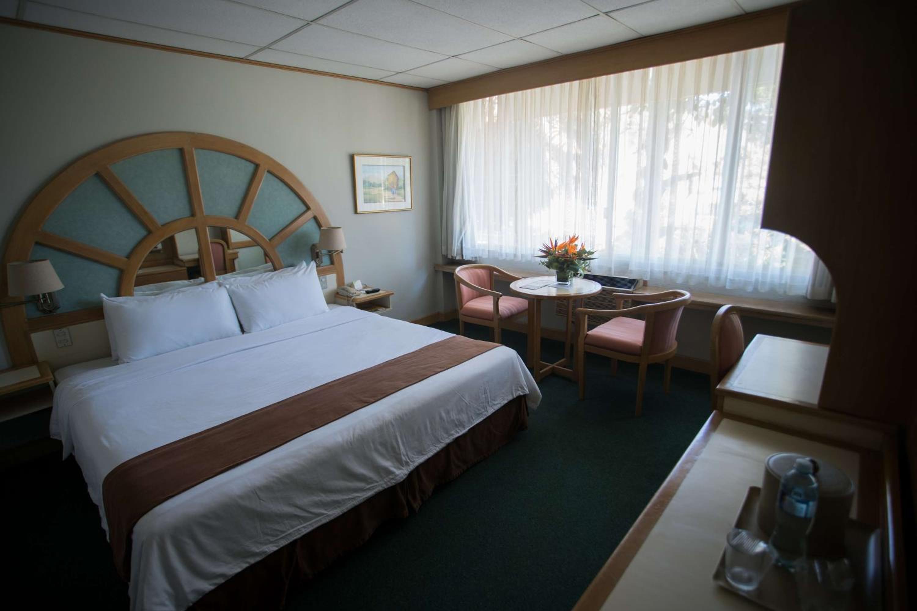 King Room - Non-Smoking - Photo 3