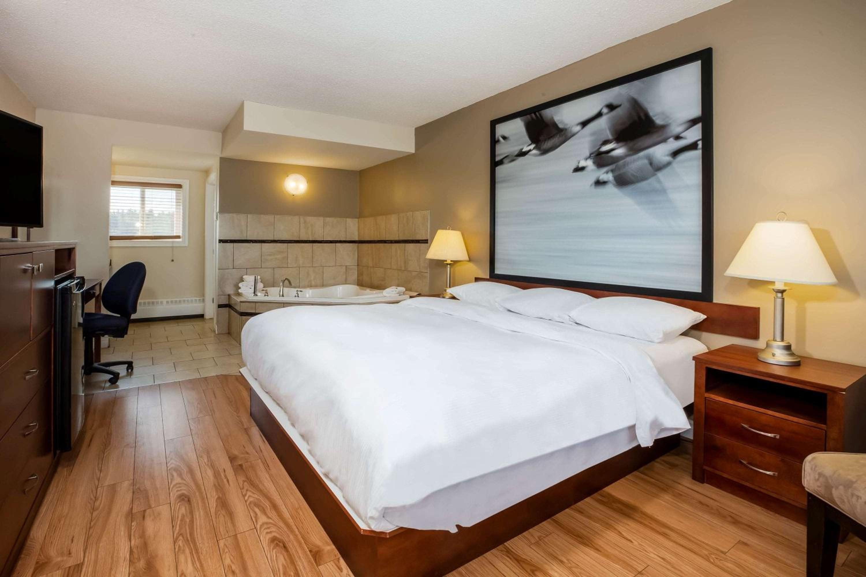 King Room - Non-Smoking photo 1