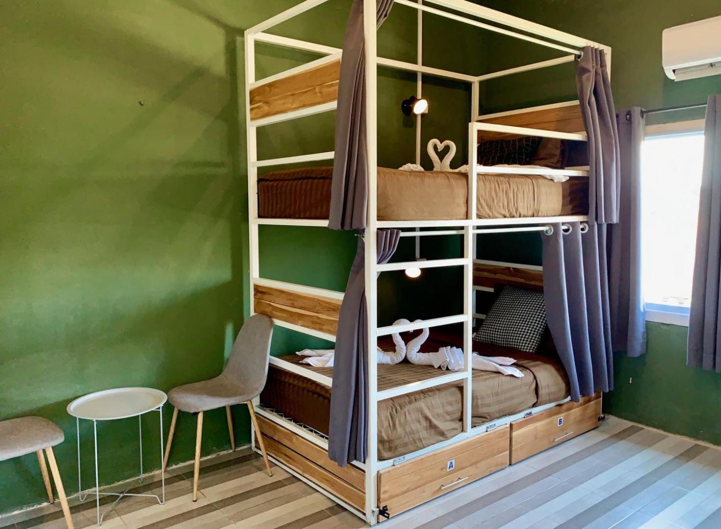 Bunk Bed in Mixed Dormitory Room photo 1