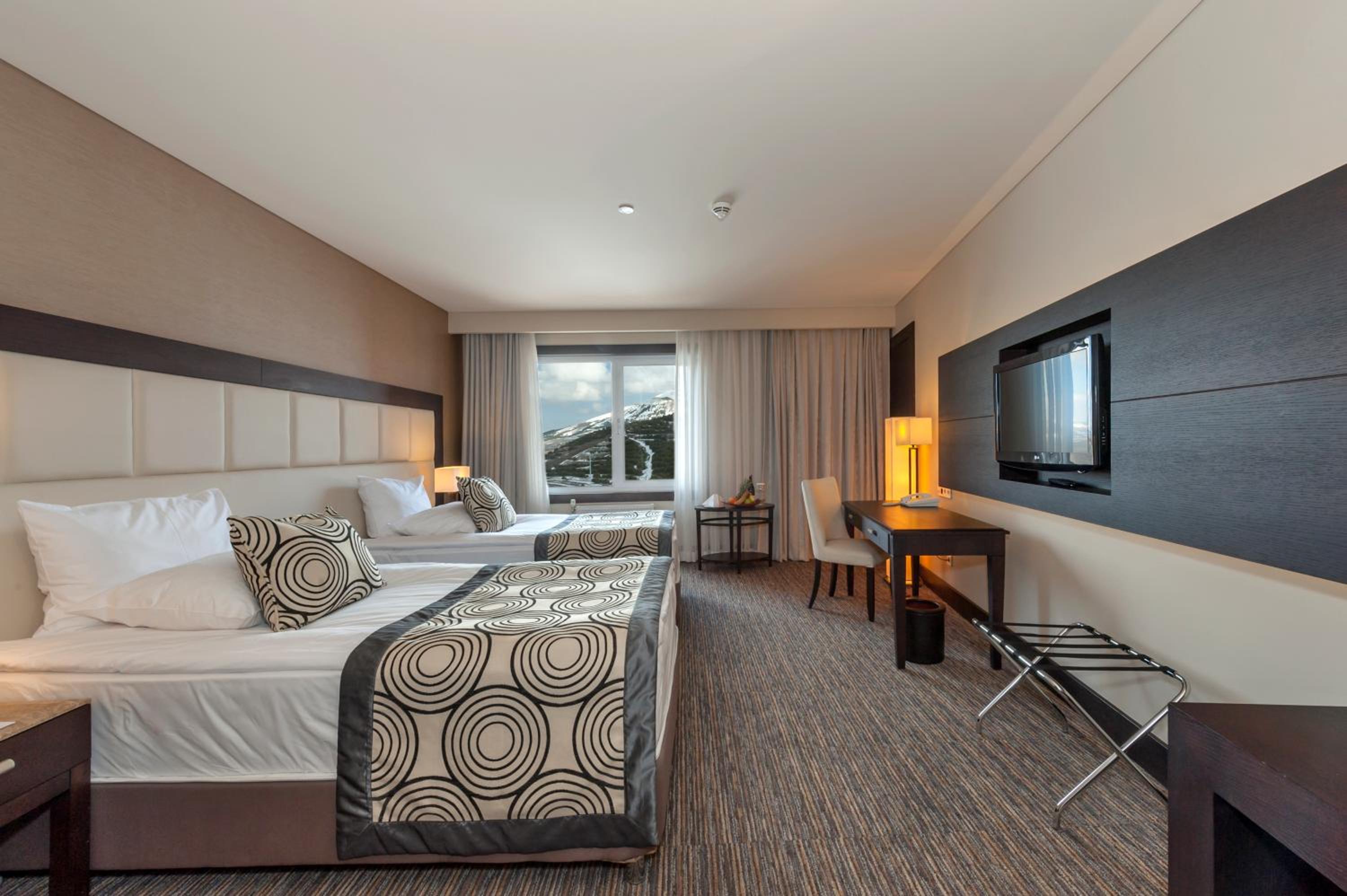Standard Twin Room photo 2