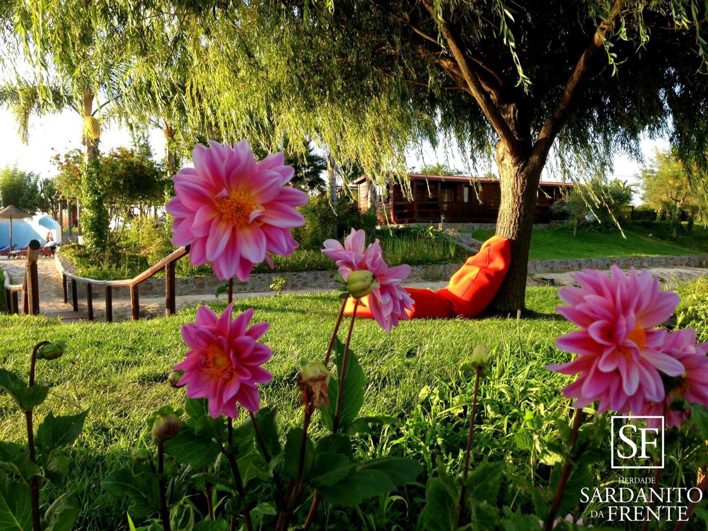 Bungalow - Photo 6