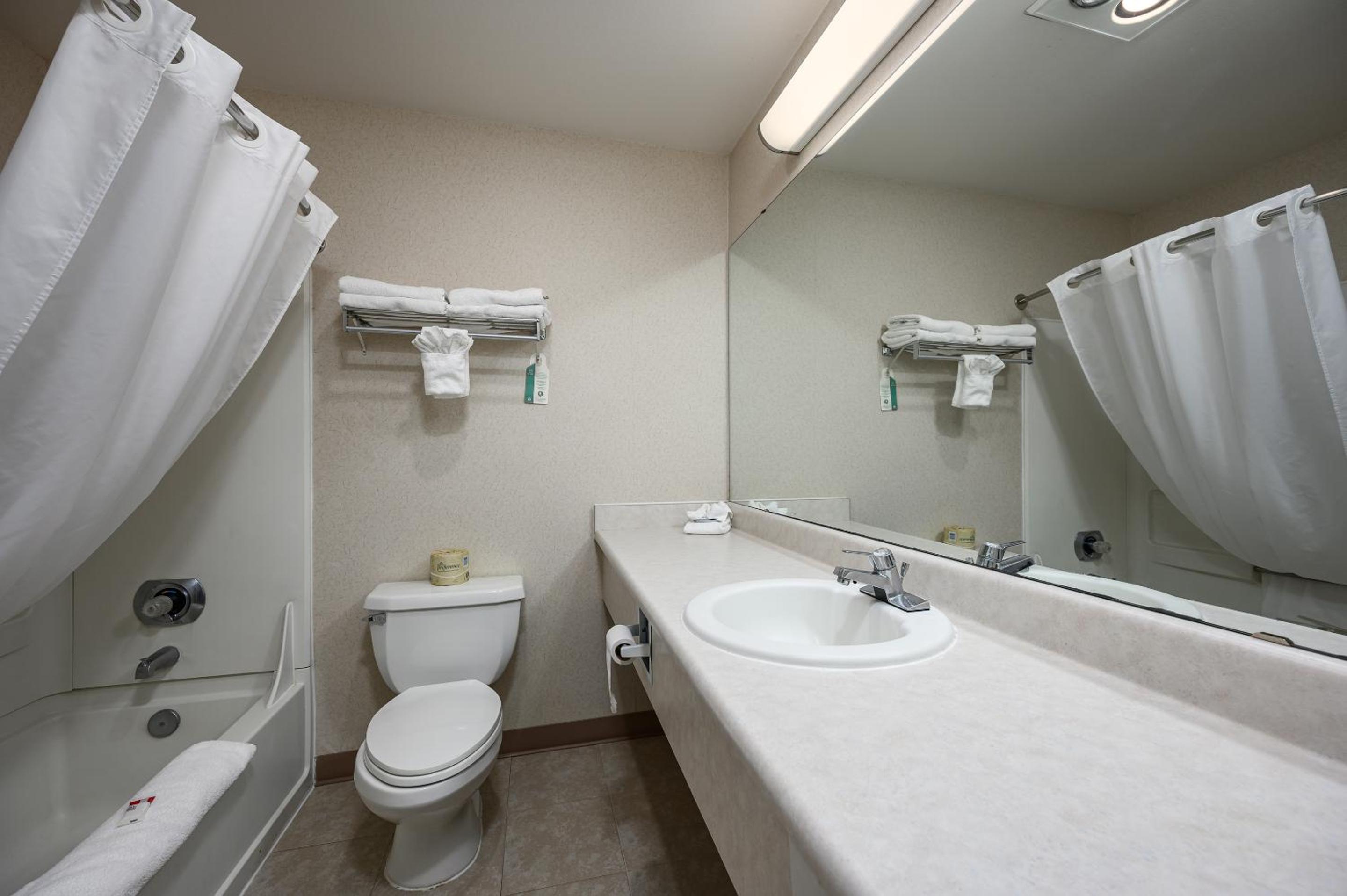 Deluxe Queen Suite - Photo 5