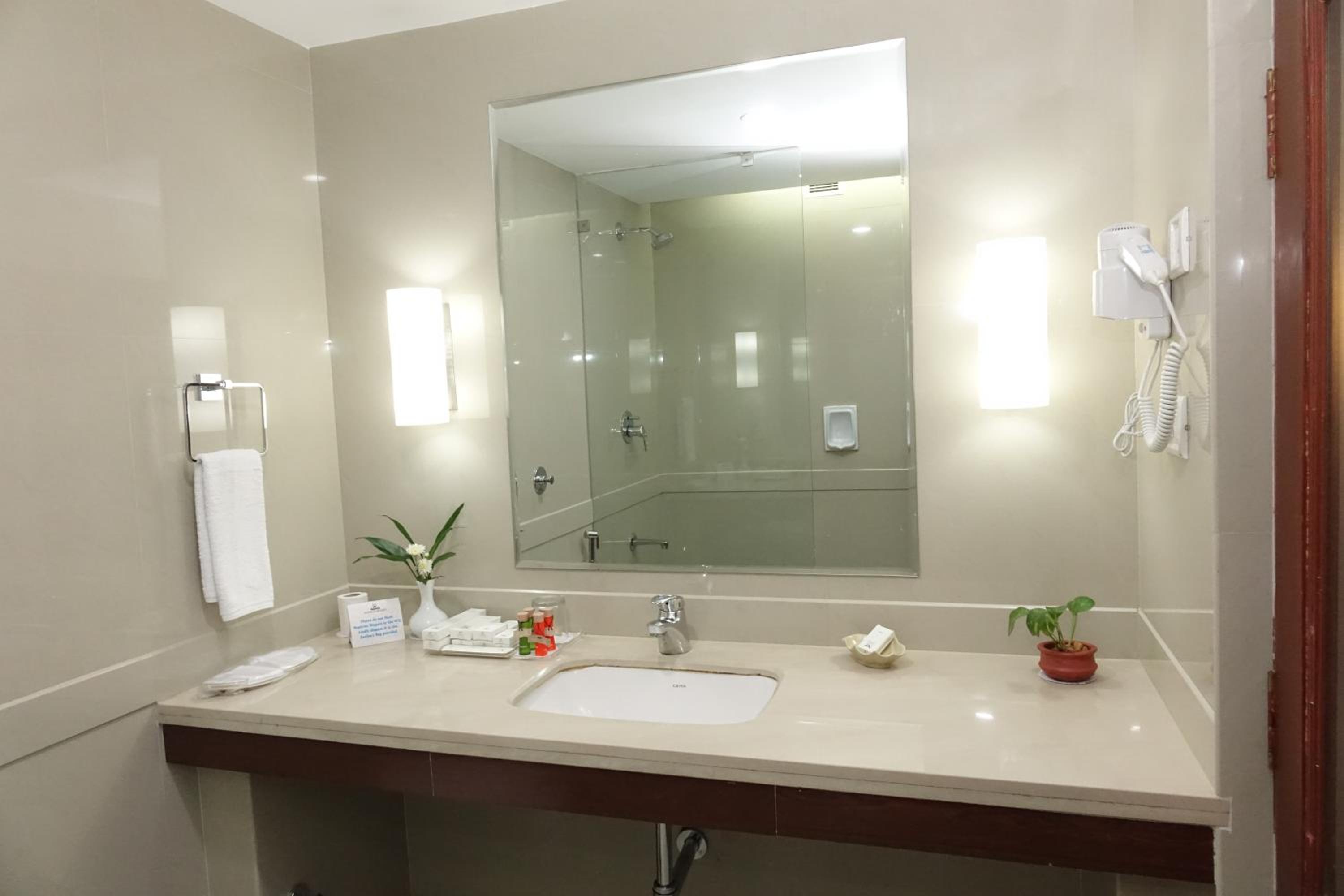 Superior Double or Twin Room photo 3