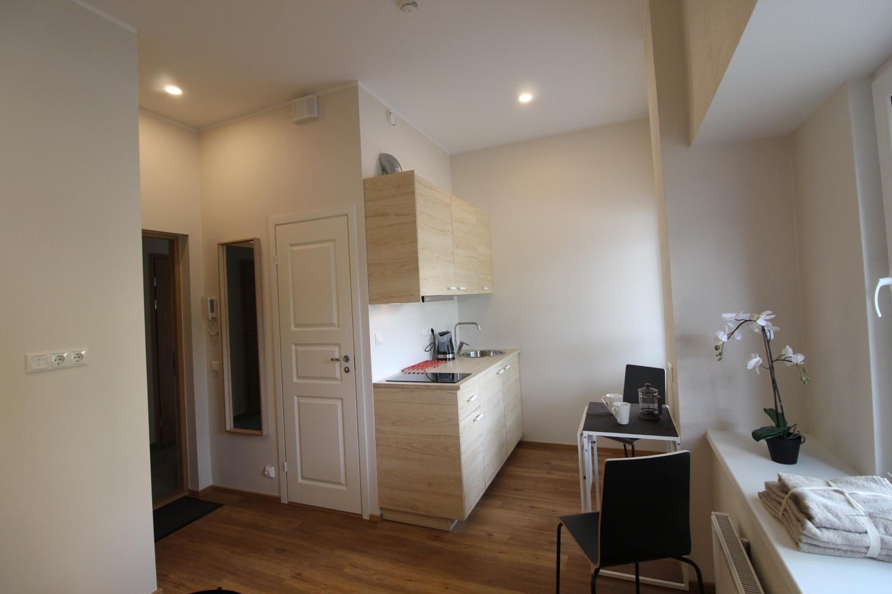 Studio Apartment photo 2