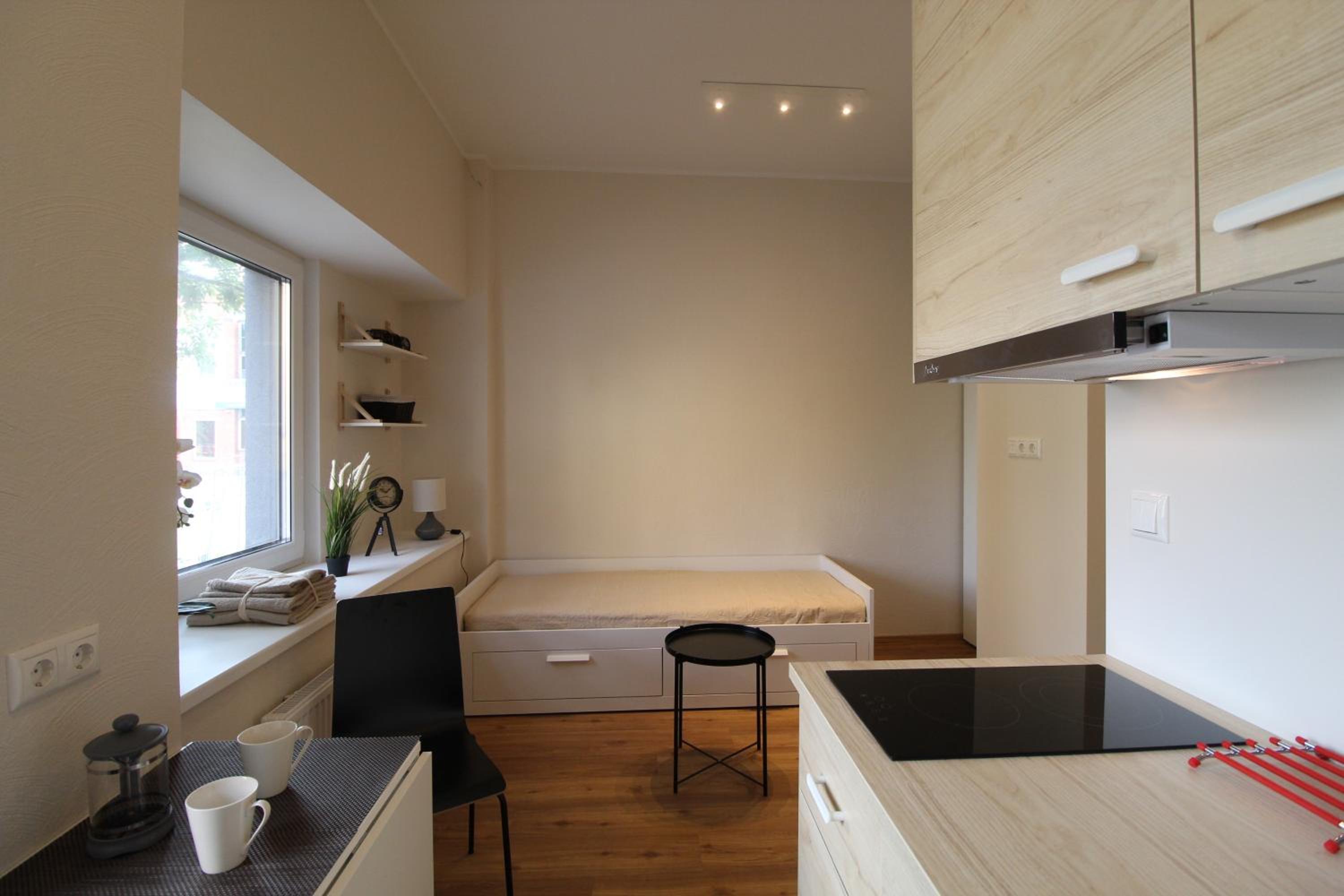 Studio Apartment photo 3