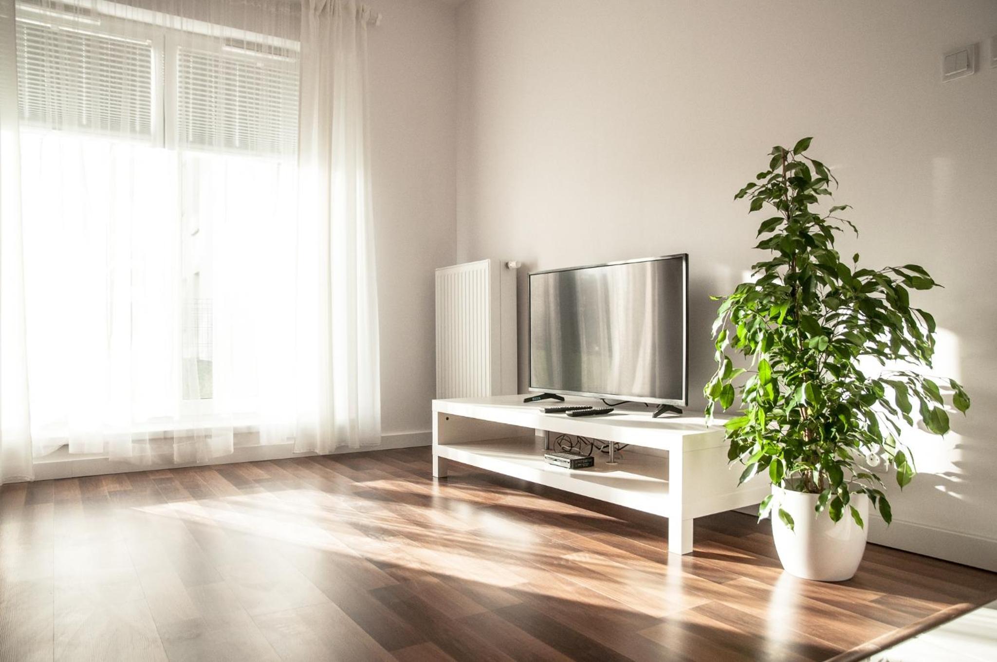 One-Bedroom Apartment - Photo 8