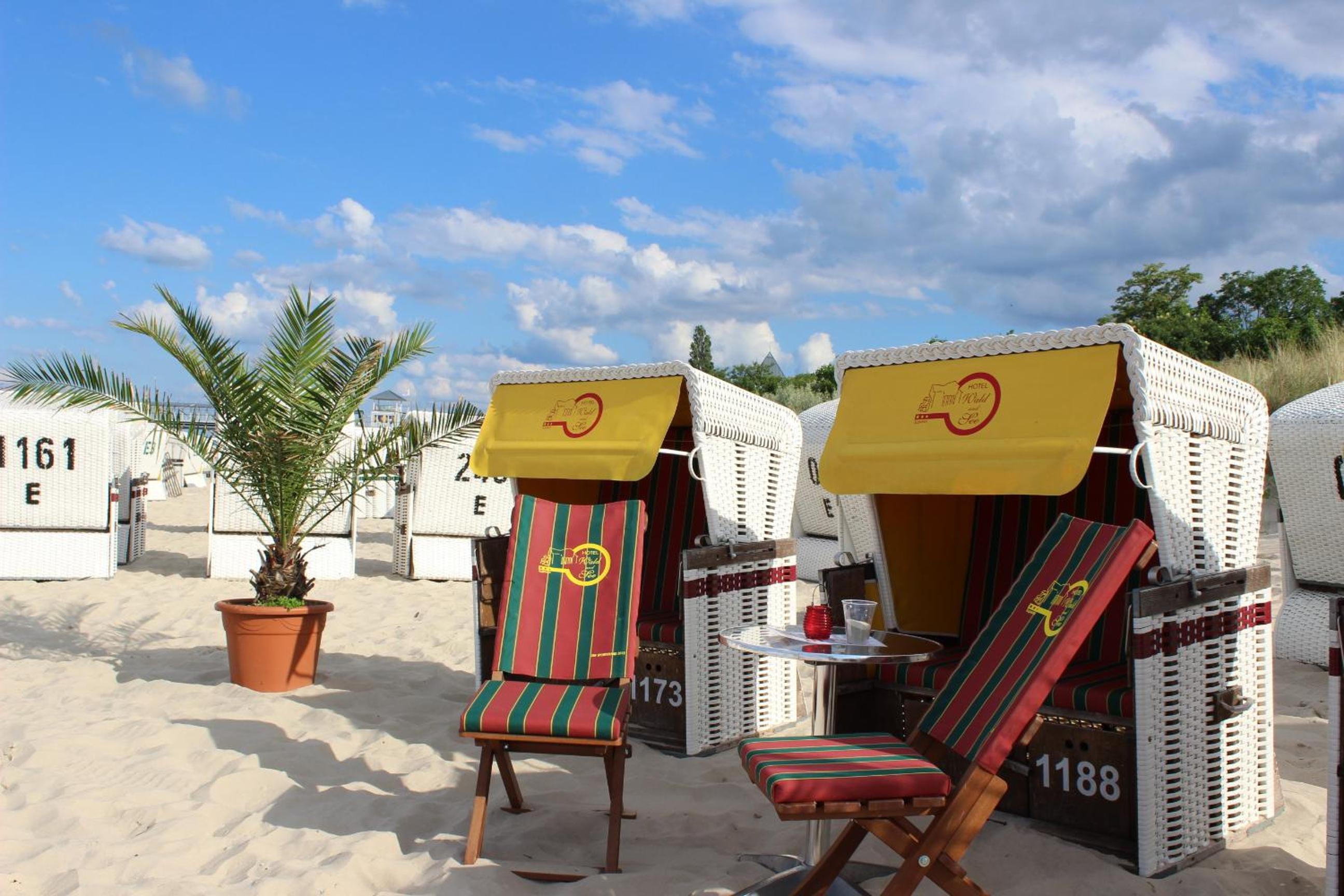 Double Room with Balcony or Terrace