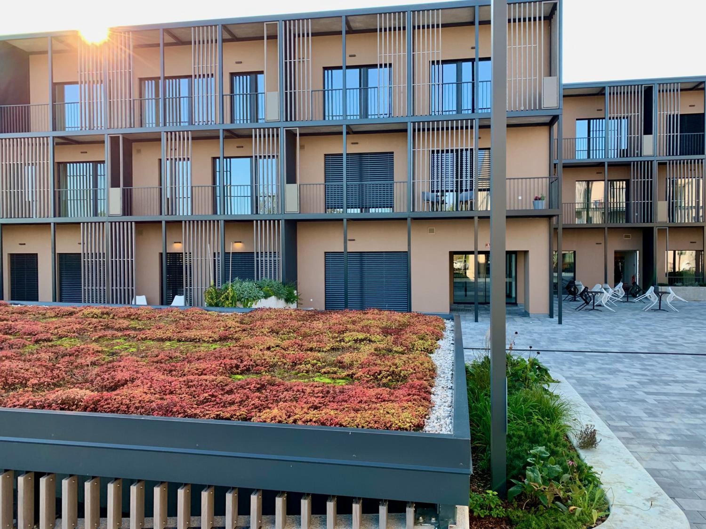 Apartment with Terrace photo 3