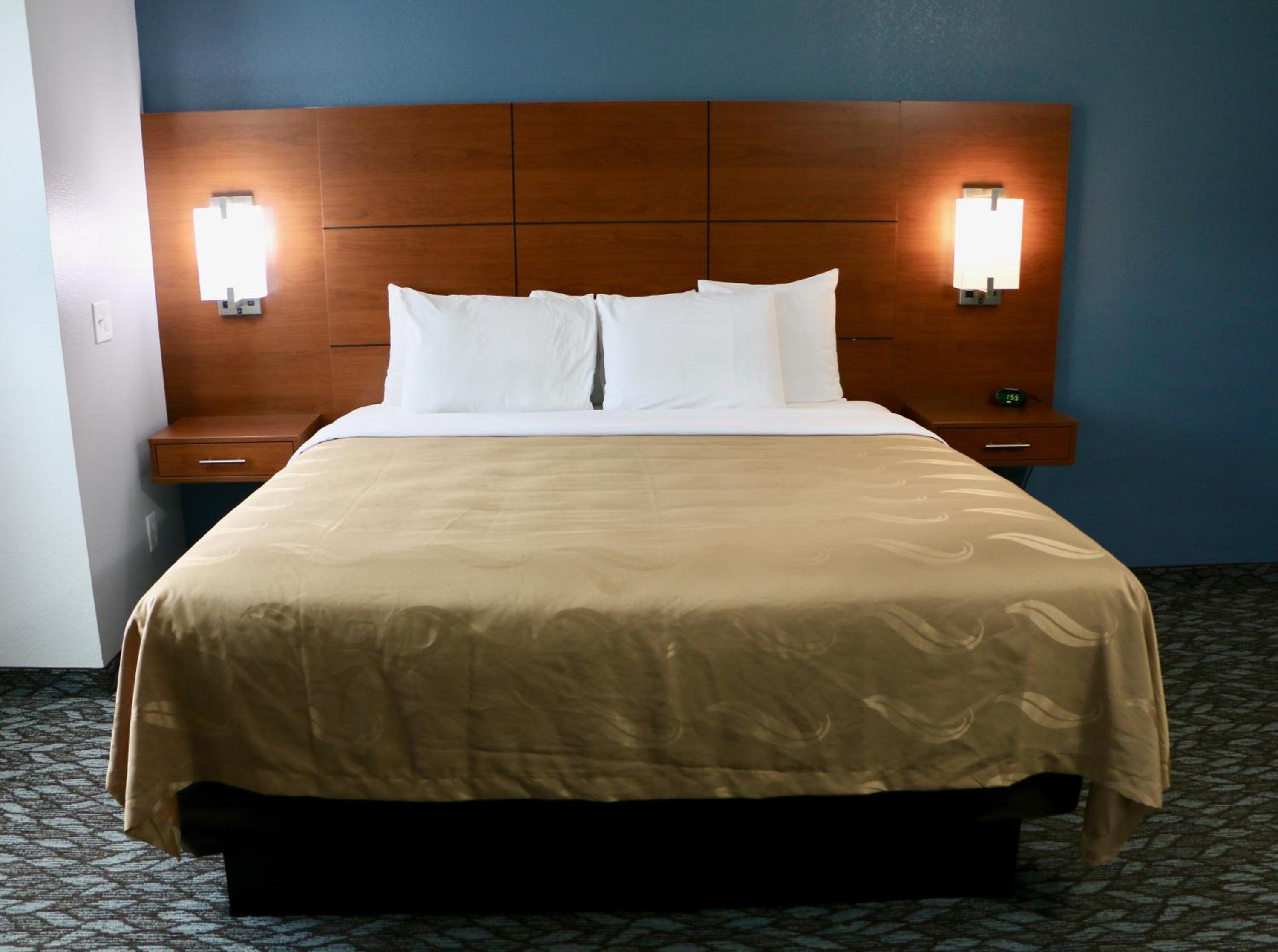 King Suite with Sofa Bed - Non-Smoking - Photo 2