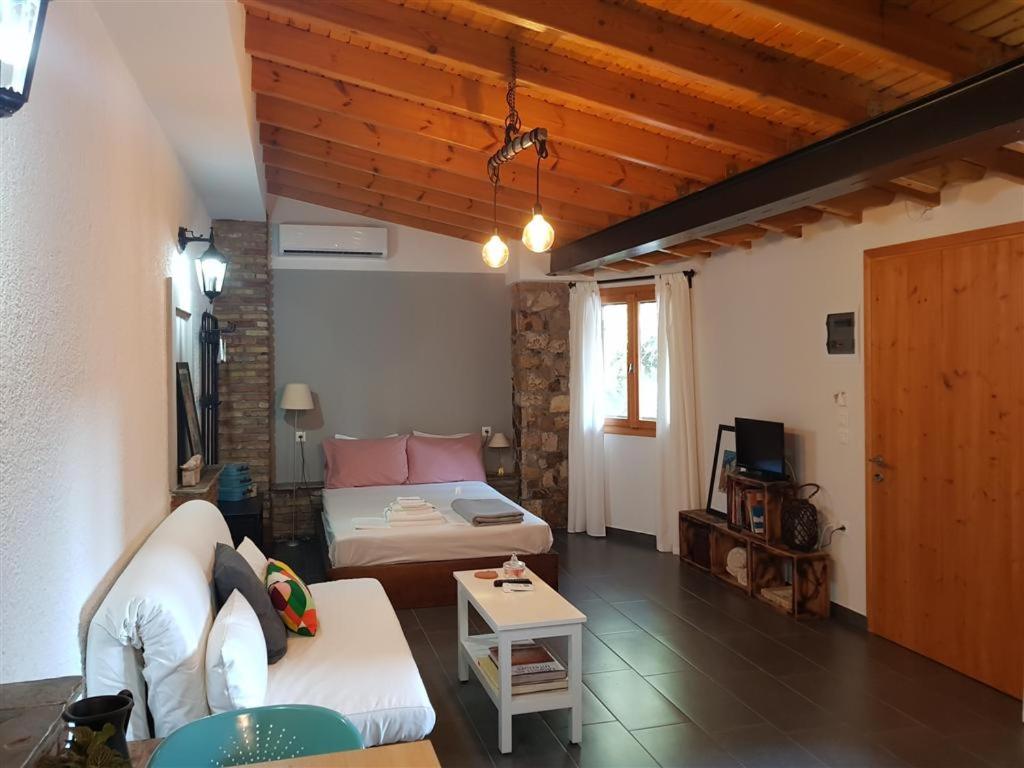Studio Apartment - Photo 1