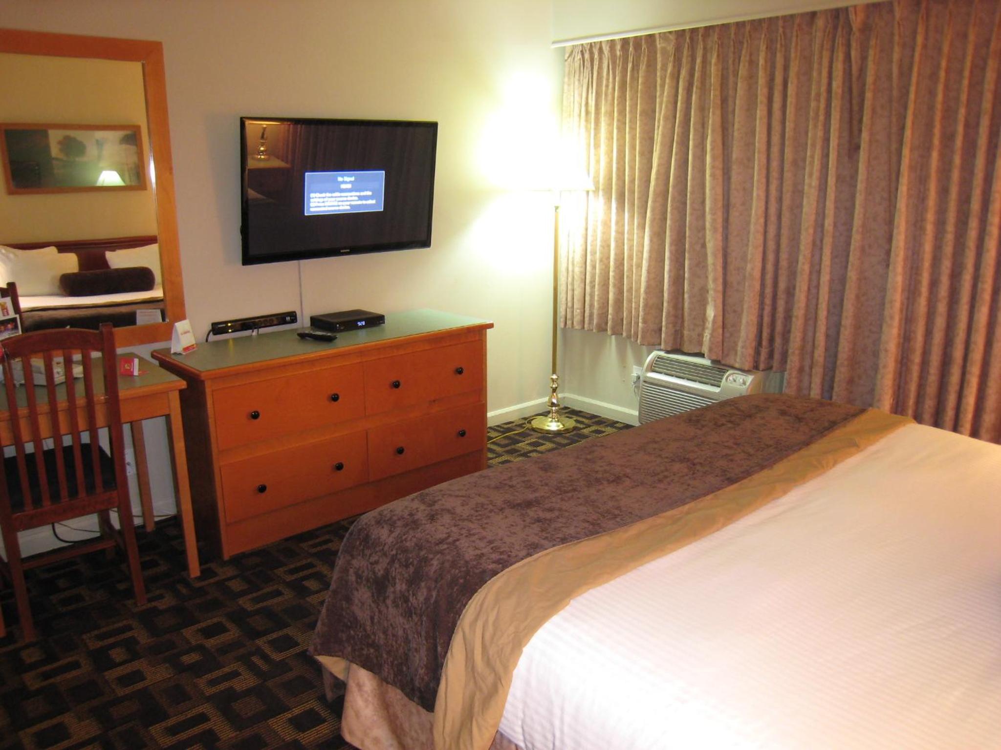 Efficiency Queen Suite with Three Bunk Beds - Pool Side