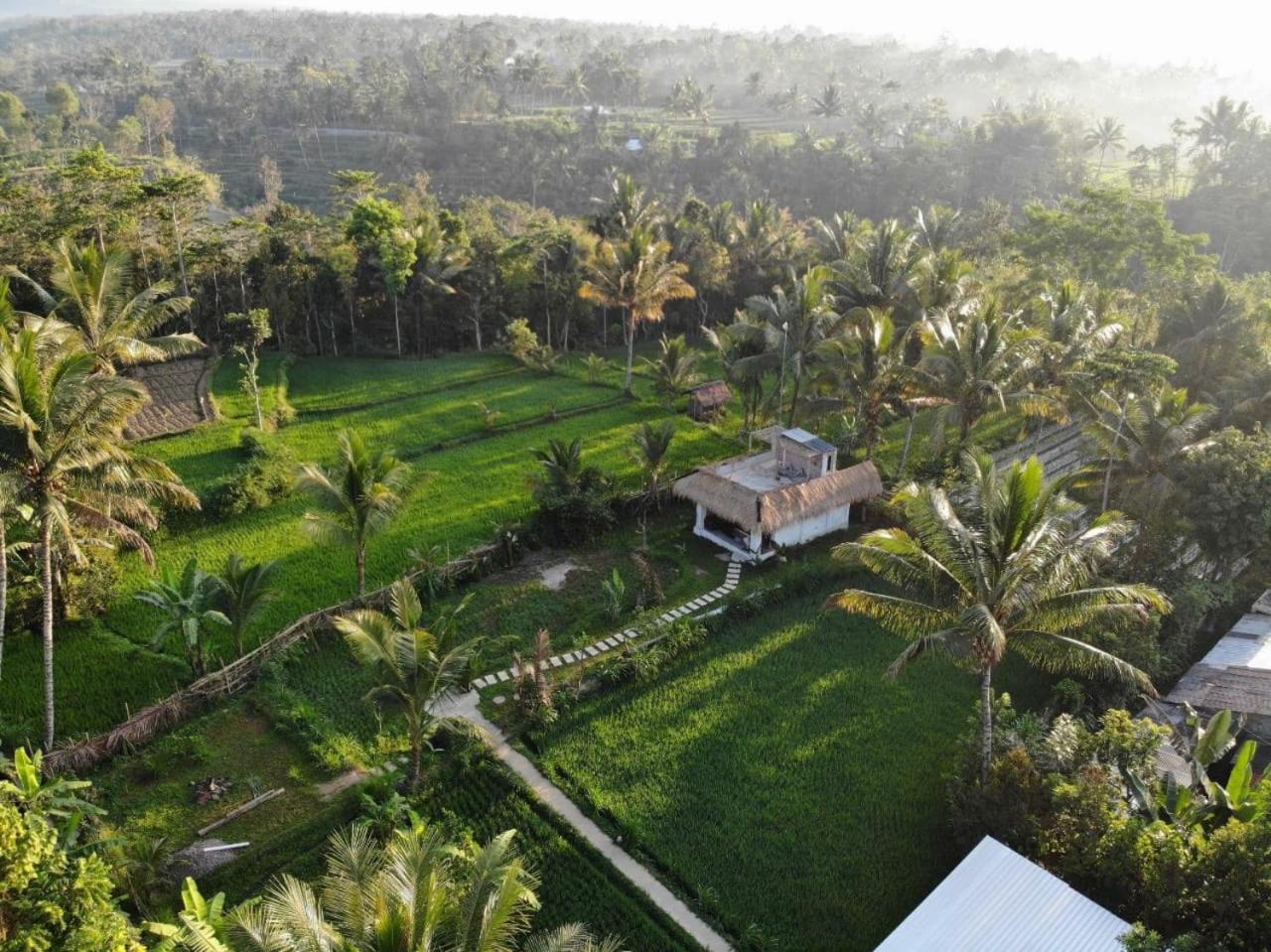 Deluxe Bungalow photo 2
