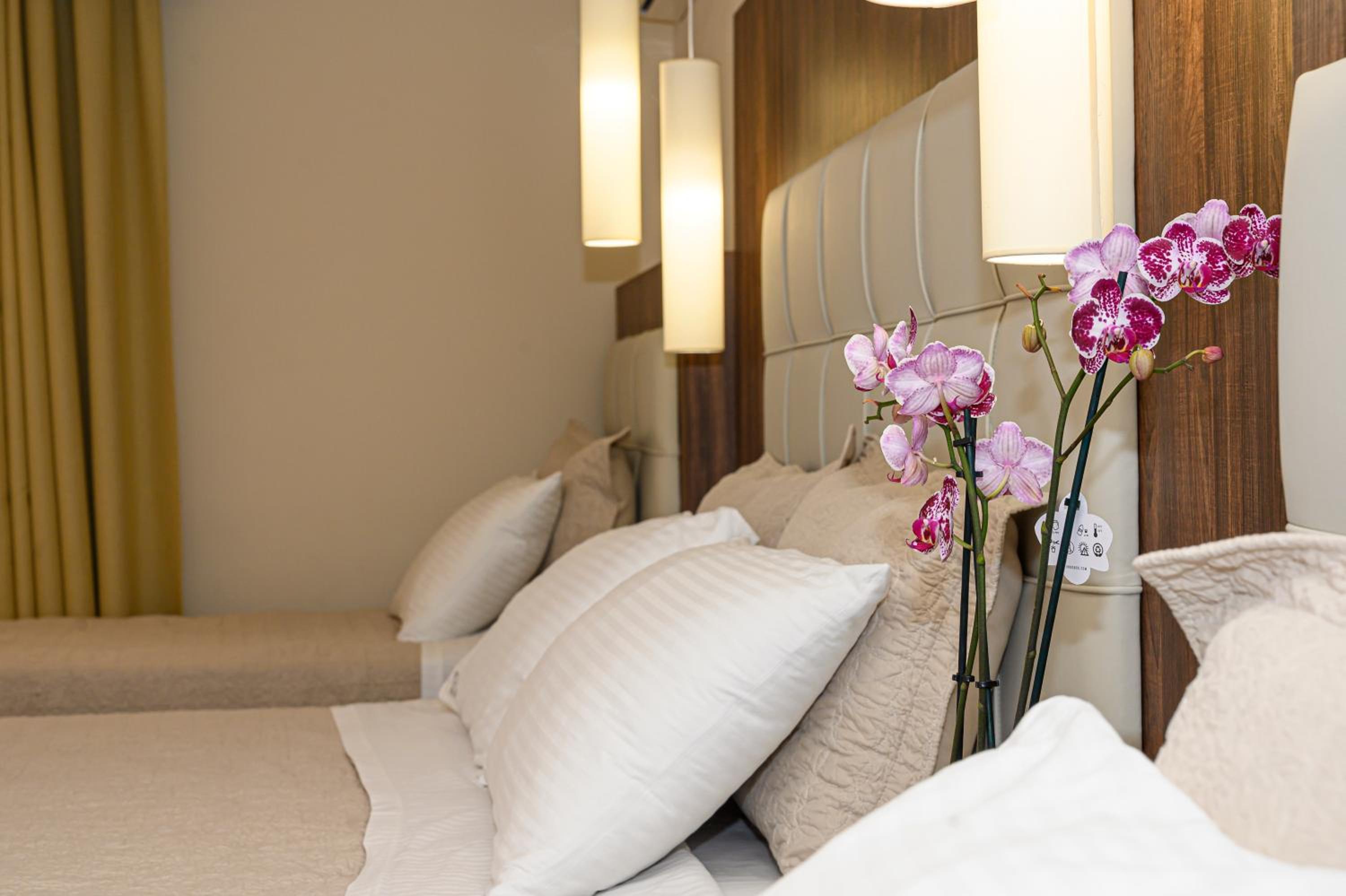 Premium Quadruple Room - Photo 3