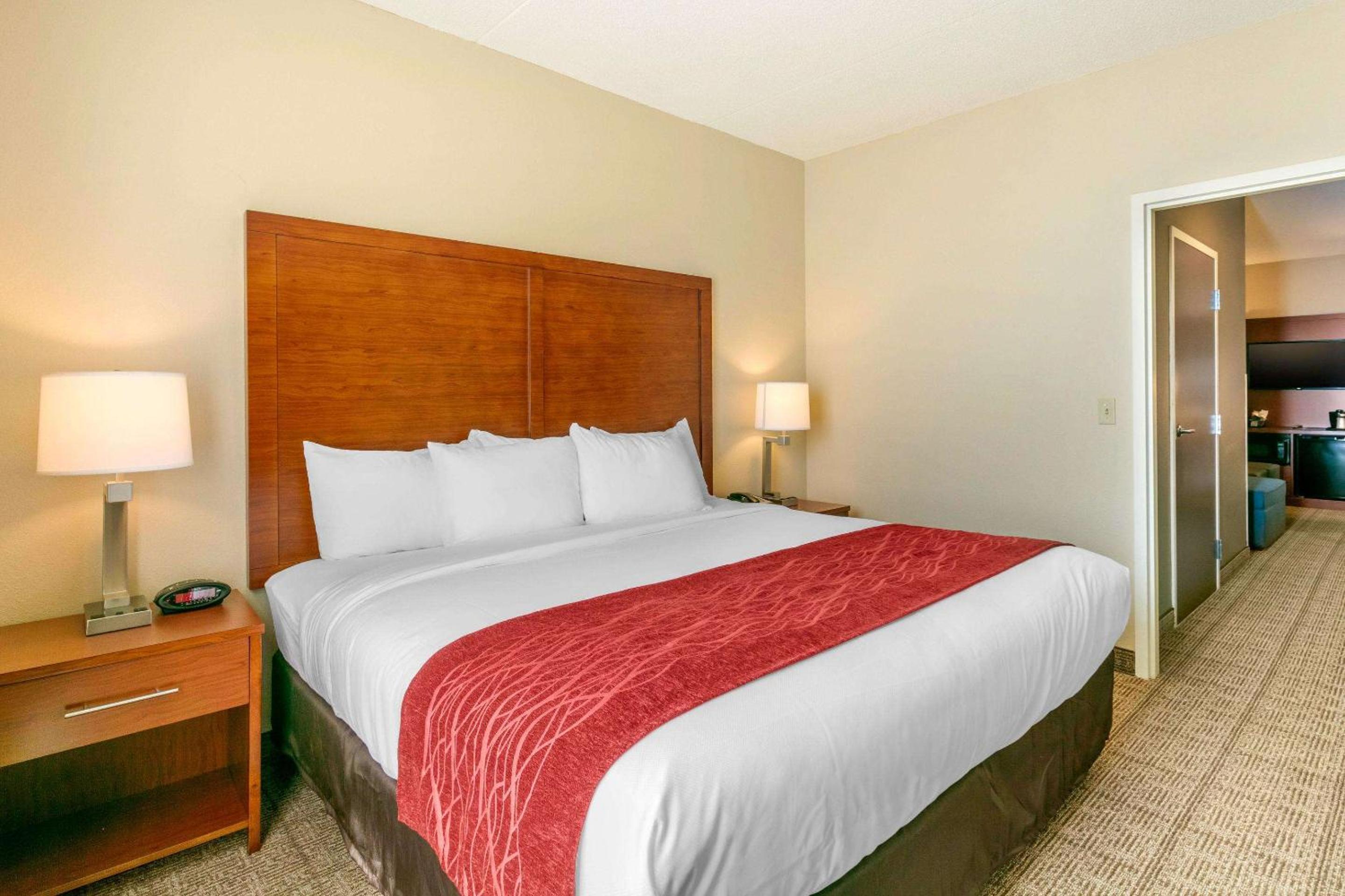 King Suite with Sofa Bed - Accessible/Non-Smoking - Photo 1