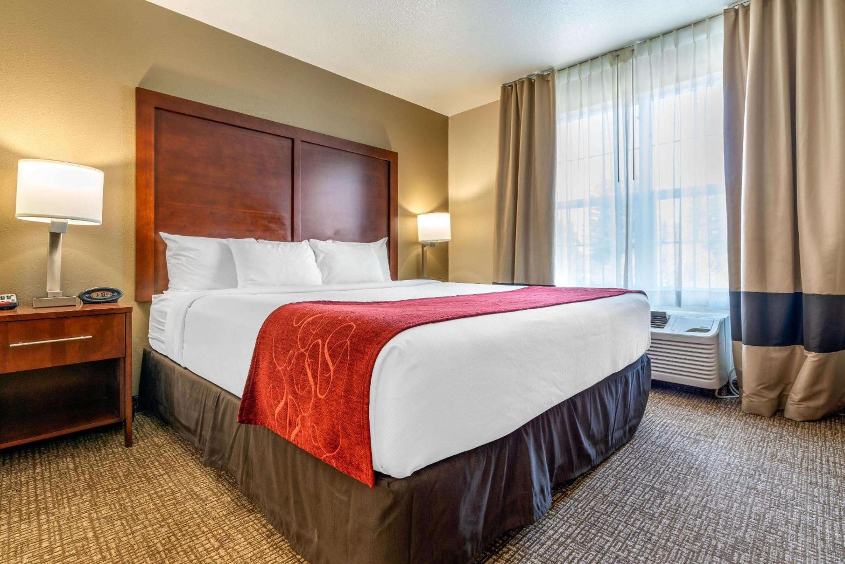 King Suite with Sofa Bed and Partial Divider - Non-Smoking - Photo 3