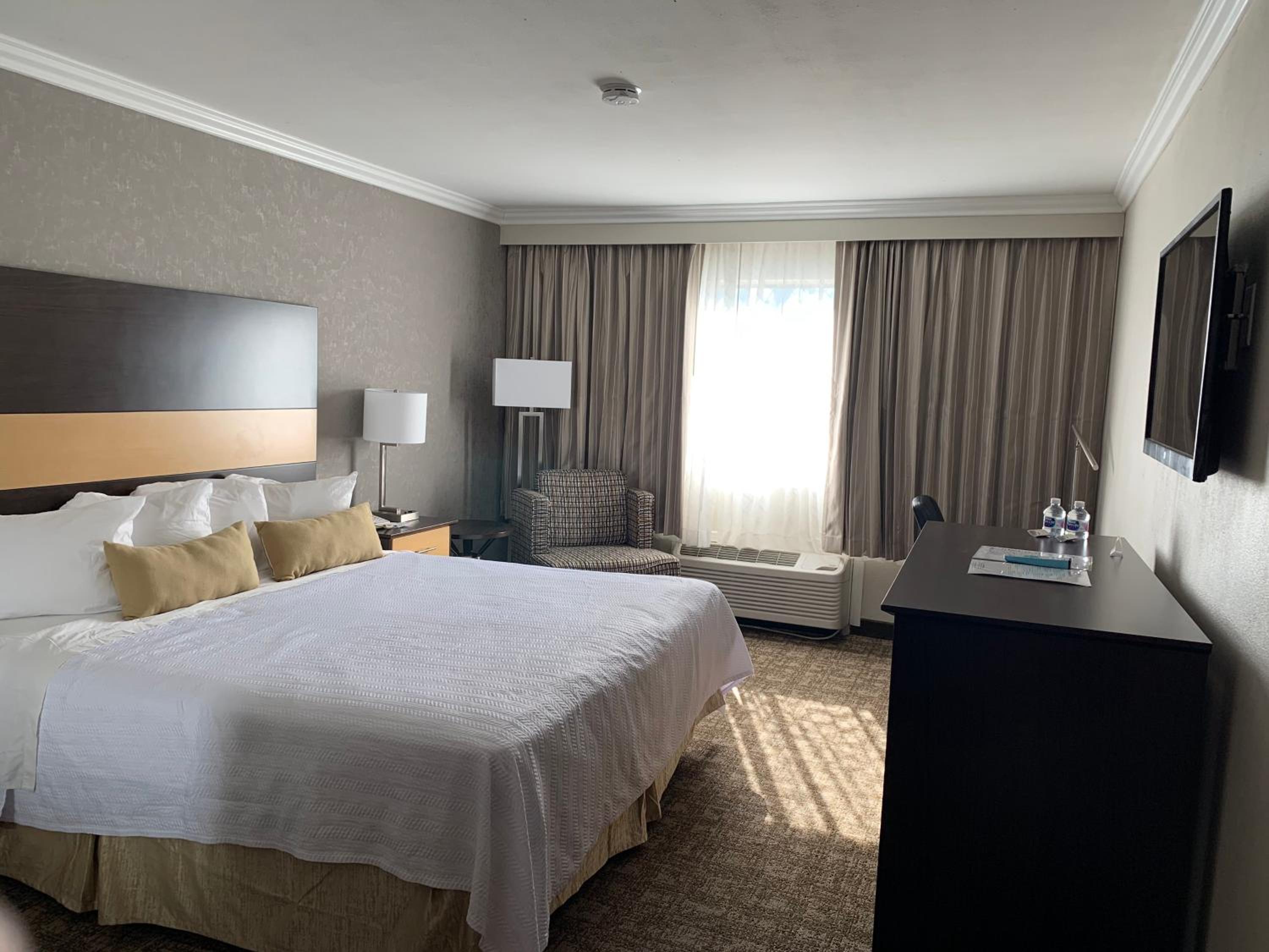 King Room - Photo 3